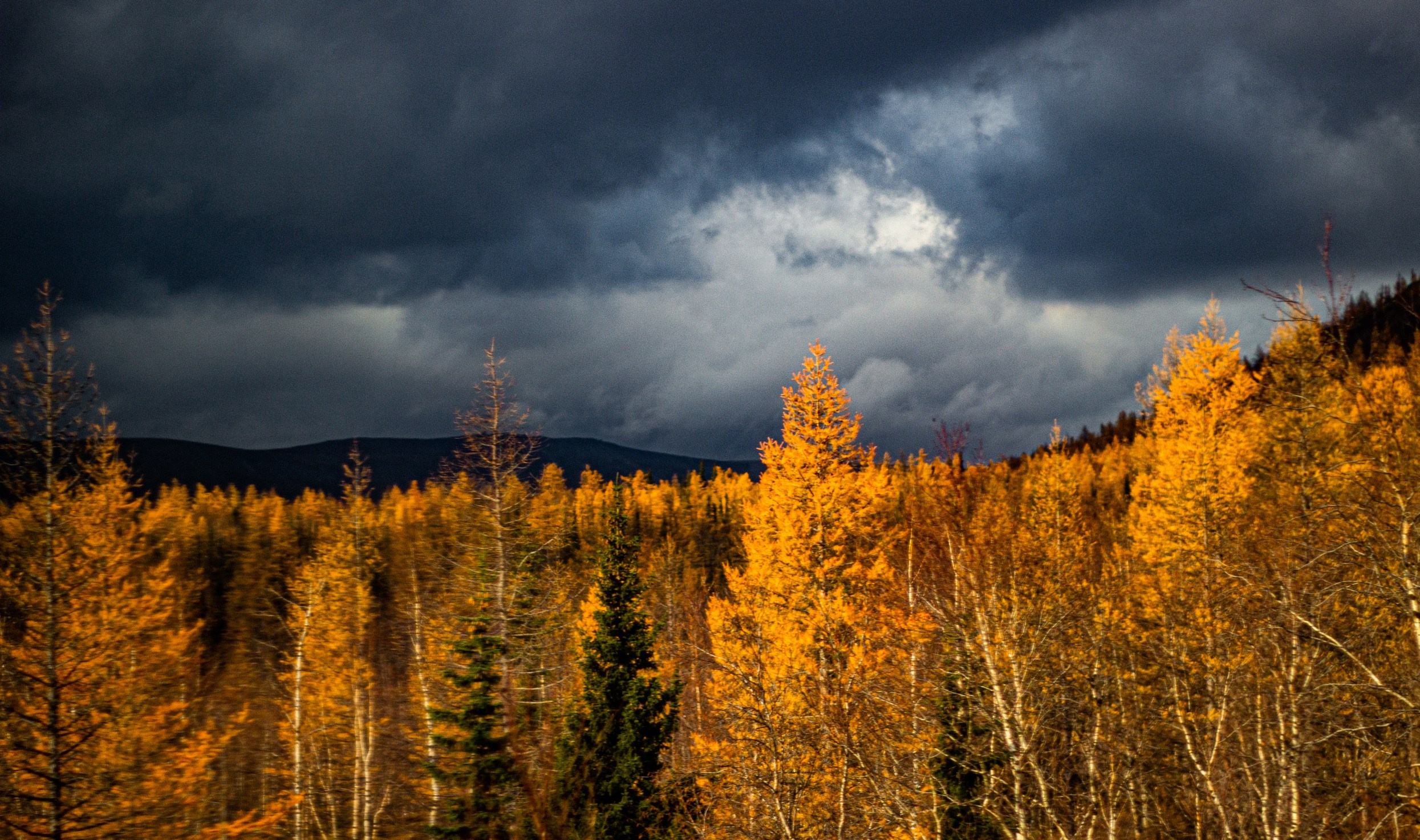 Станция Собь. Фотограф Екатерина Зорина