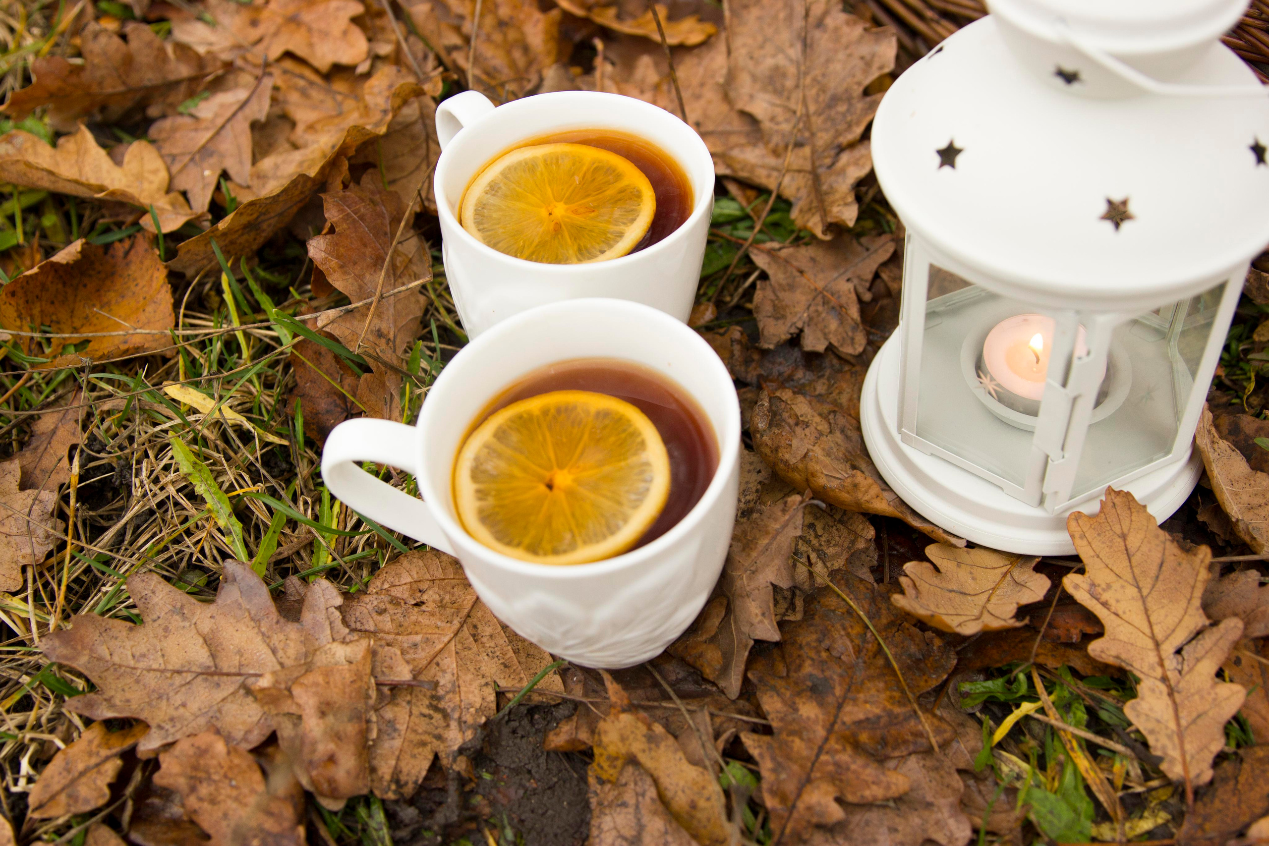 Проект «Осенний пикник». Семейный фотограф в Туле Яна Денисова — семейная фотосессия