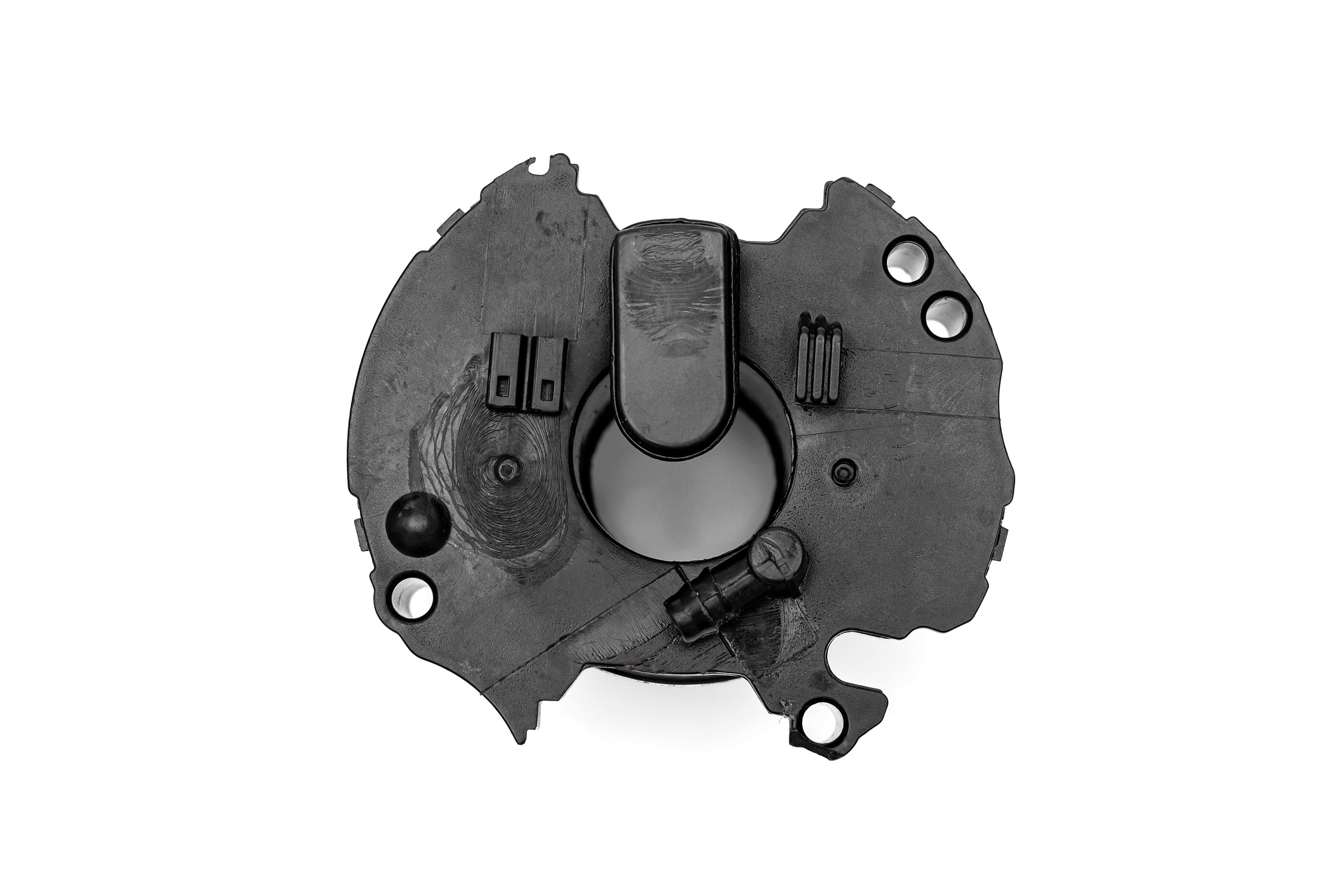 ФОТО. Фотограф Алина Гашникова