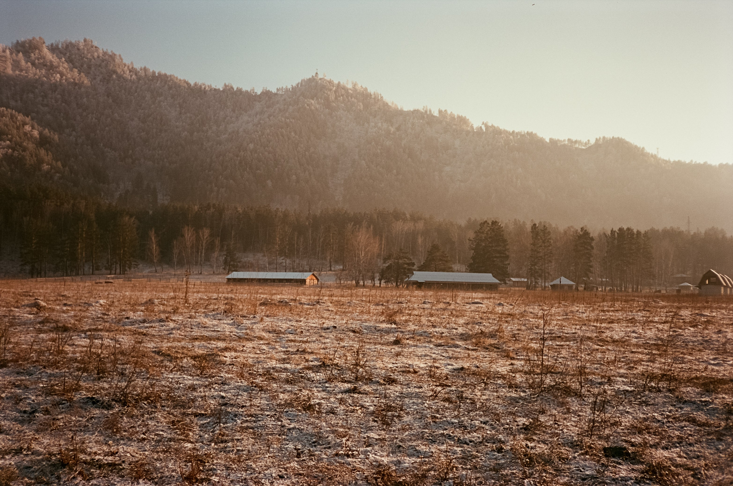 Утро на скалах Зубы Дракона. Чемал: поля и горы на закате. Фотограф-документалист Мария Осокина