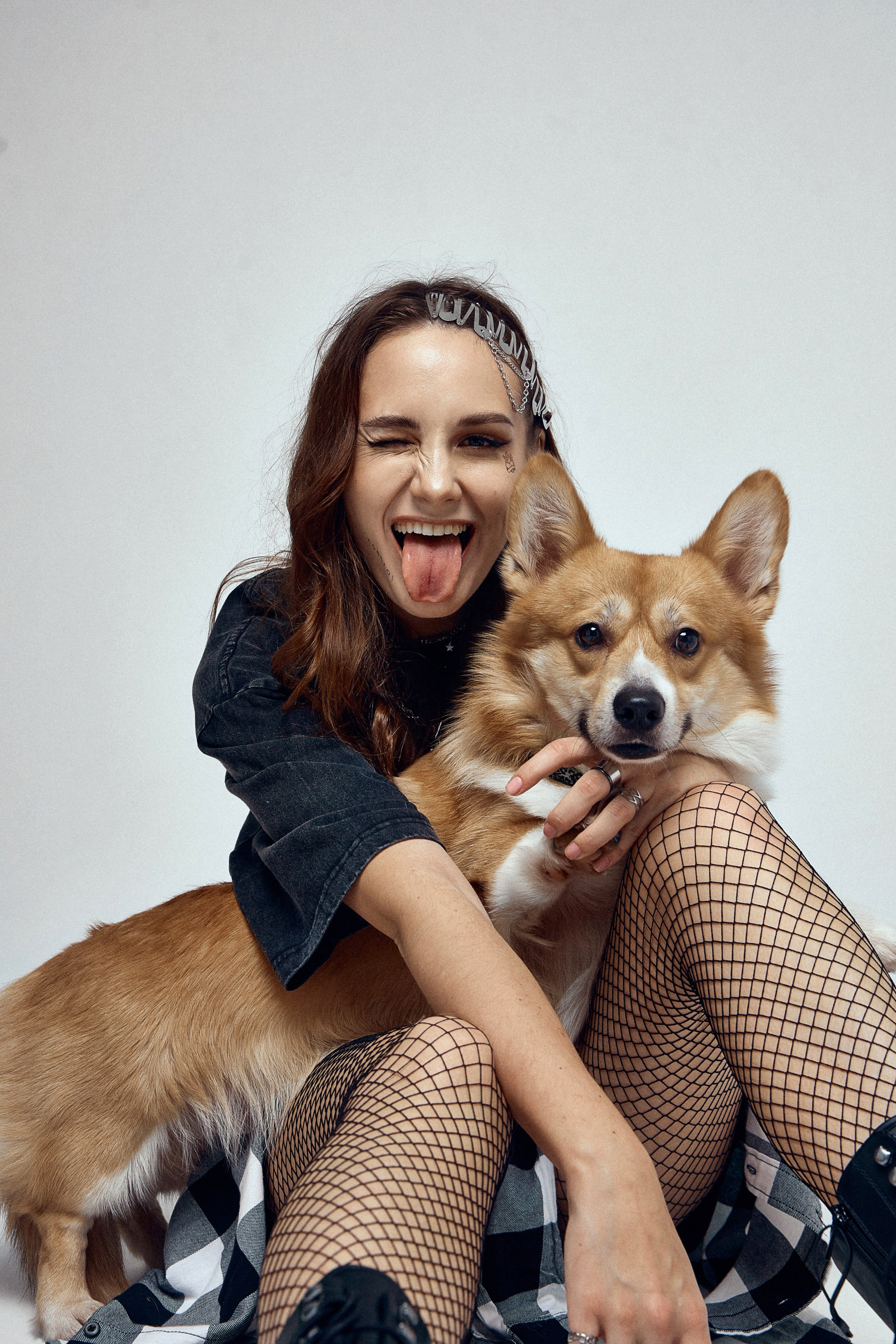 КОРГИ. Фотограф Санкт-Петербург