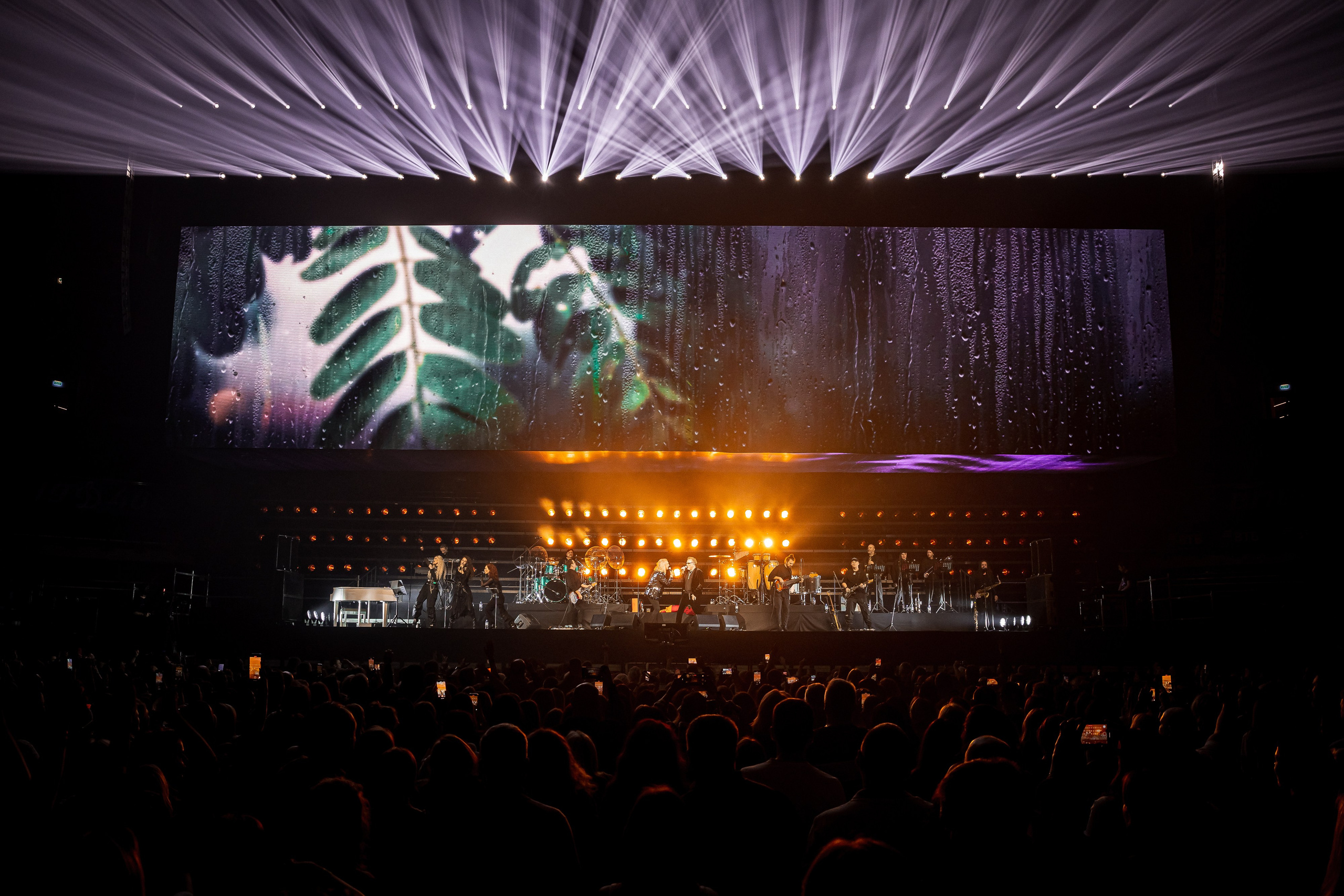 ВЛАДИМИР ПРЕСНЯКОВ / 2024. OOPS