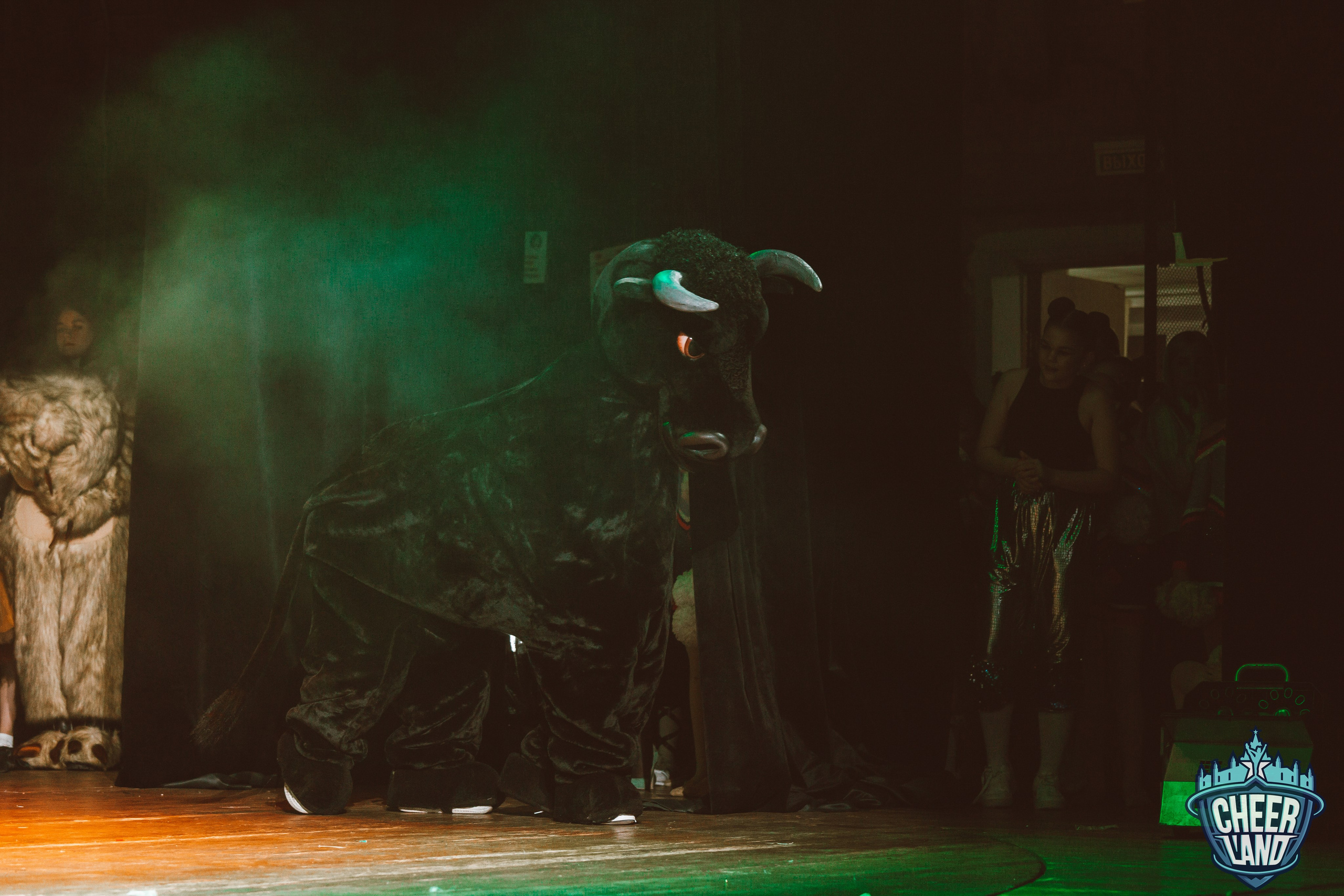 КОСМИЧЕСКОЕ НОВОГОДНЕЕ ПУТЕШЕСТВИЕ «CHEER LAND». Репортажный, семейный, свадебный, портретный фотограф