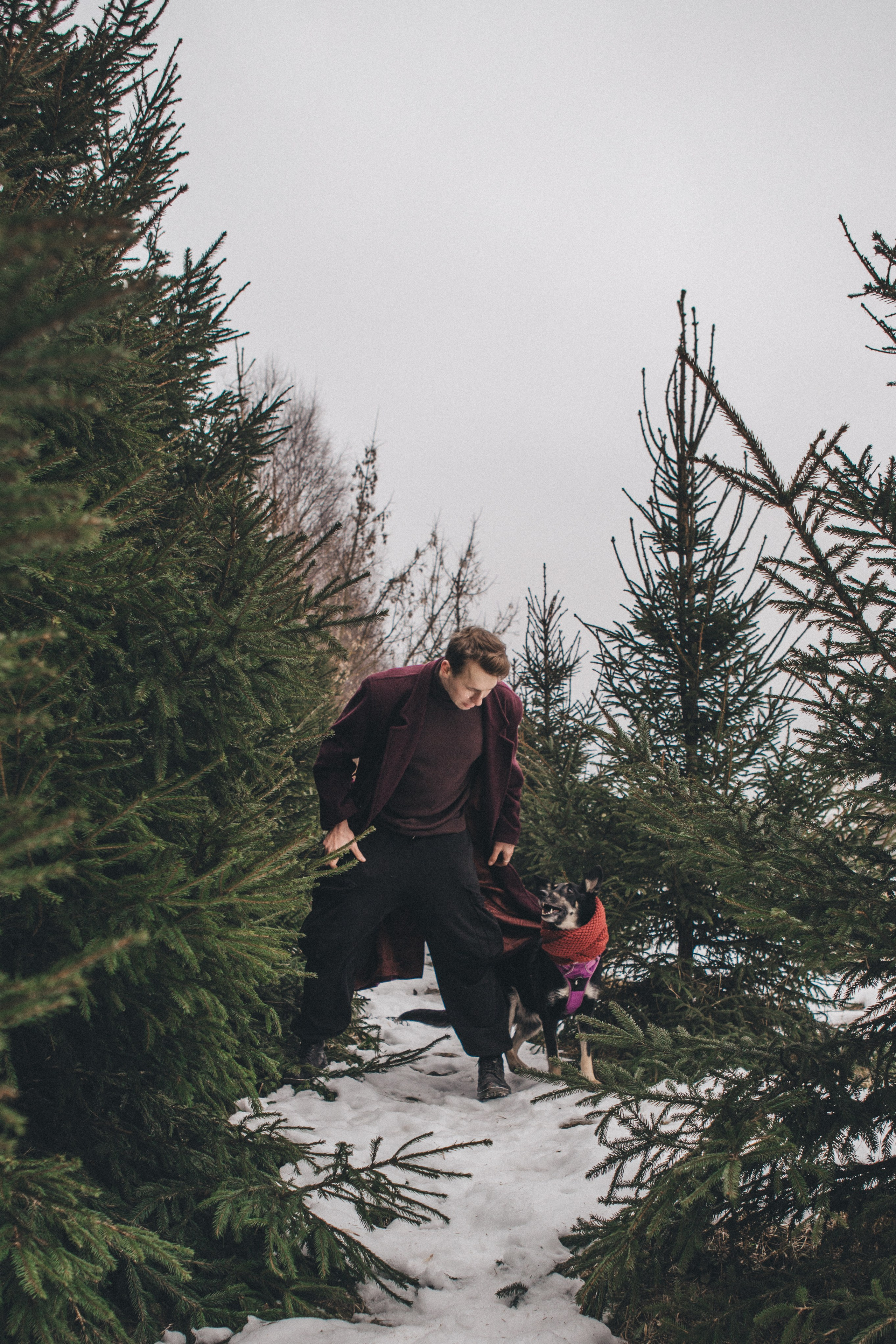 A cinematic tale of true love and unbreakable friendship between a man and a dog. Portrait, family and pet photographer in Cyprus, Ksenia Bourdelle