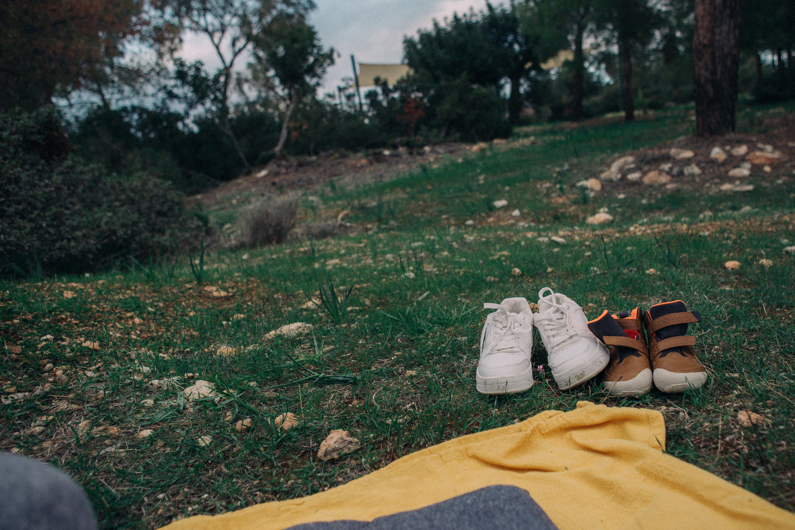 Nastya & Mr. Racoon. Portrait, family and pet photographer in Cyprus, Ksenia Bourdelle
