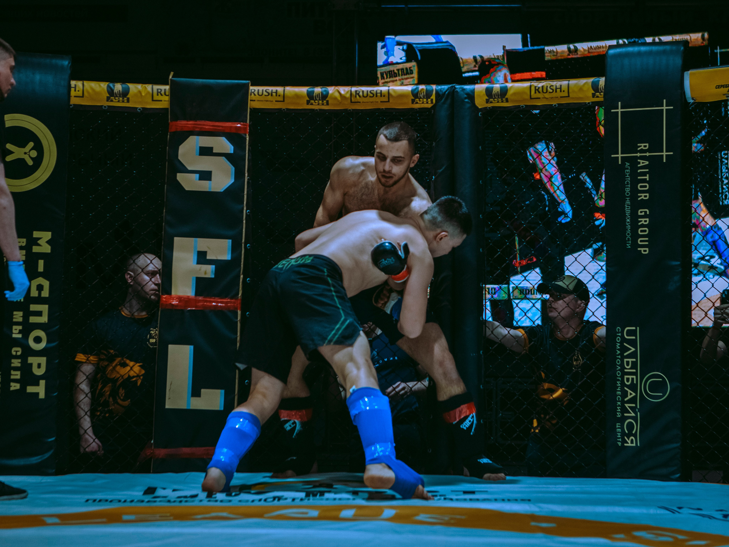 SFL 17 | Siberian Fighting League. Портретный фотограф в Москве Дарья Цезария