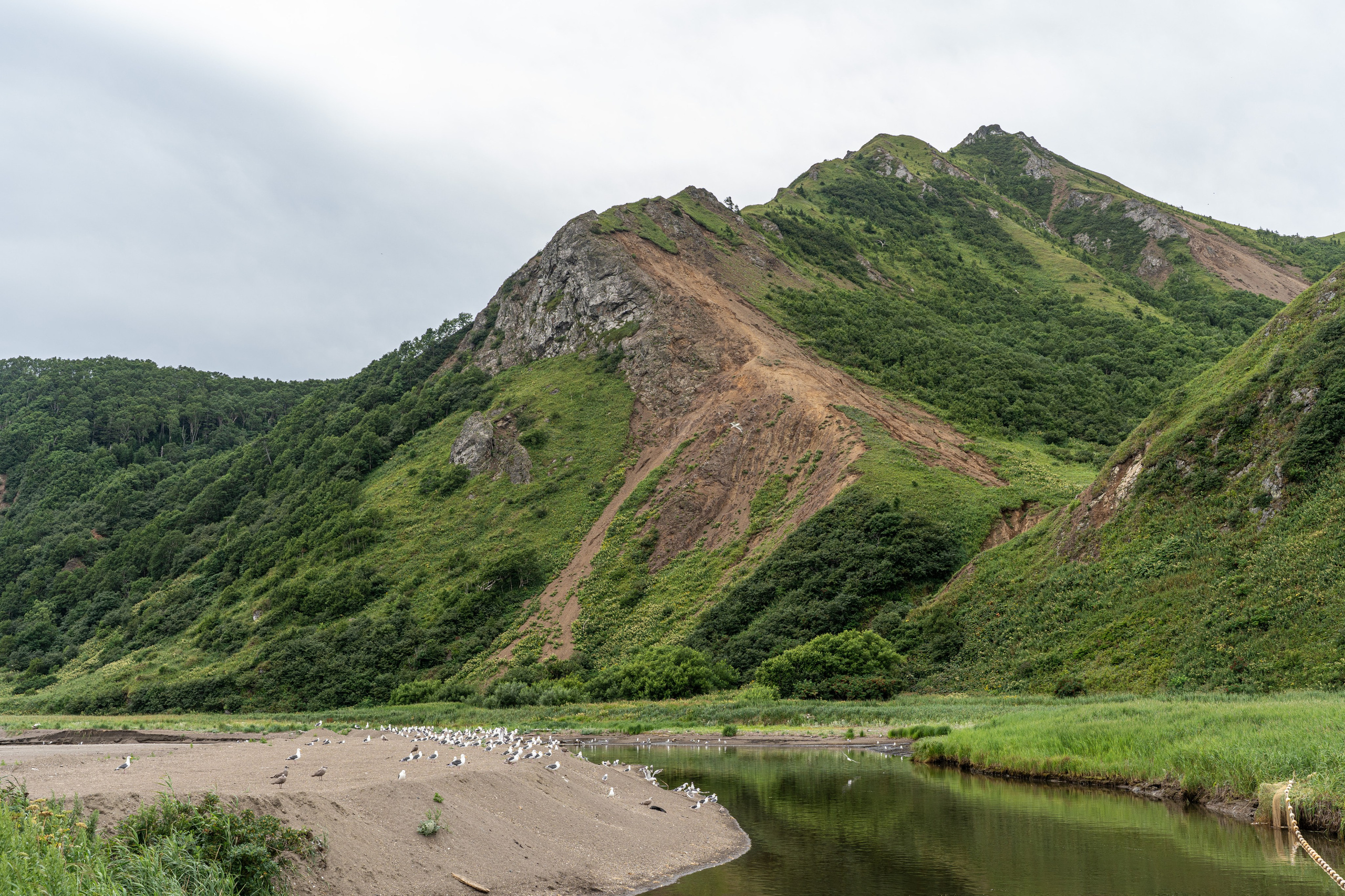 Сахалин 2025. Творческие сьемки