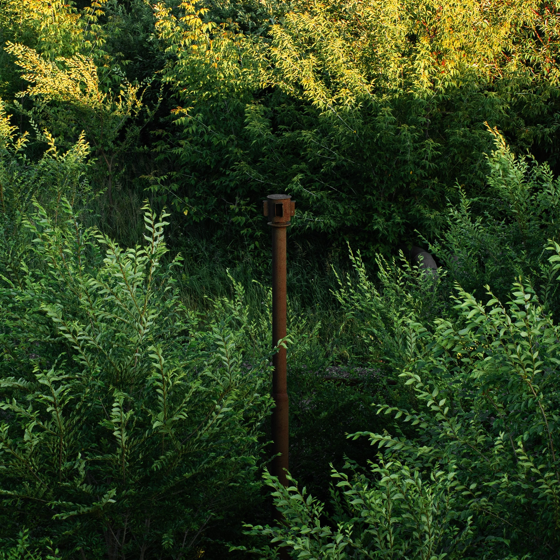 Tender Colors of a Heavy City. Whoii art