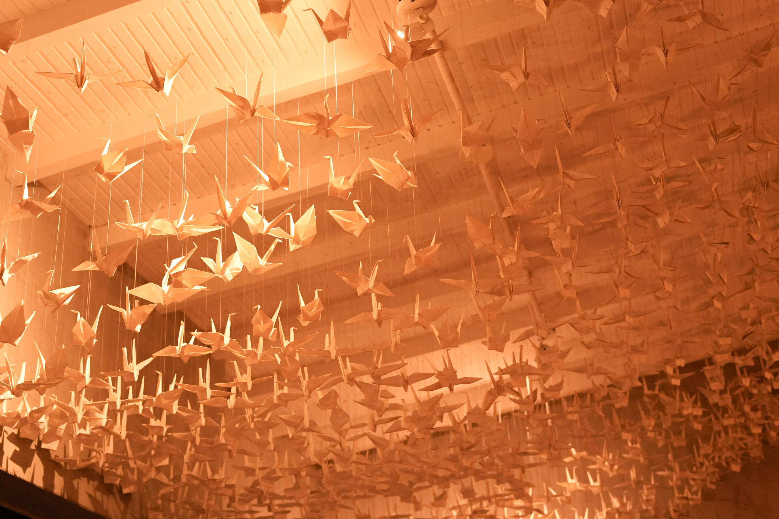 Olivia and Zack / 2 day. Wedding Photographer in Barcelona and Medellin