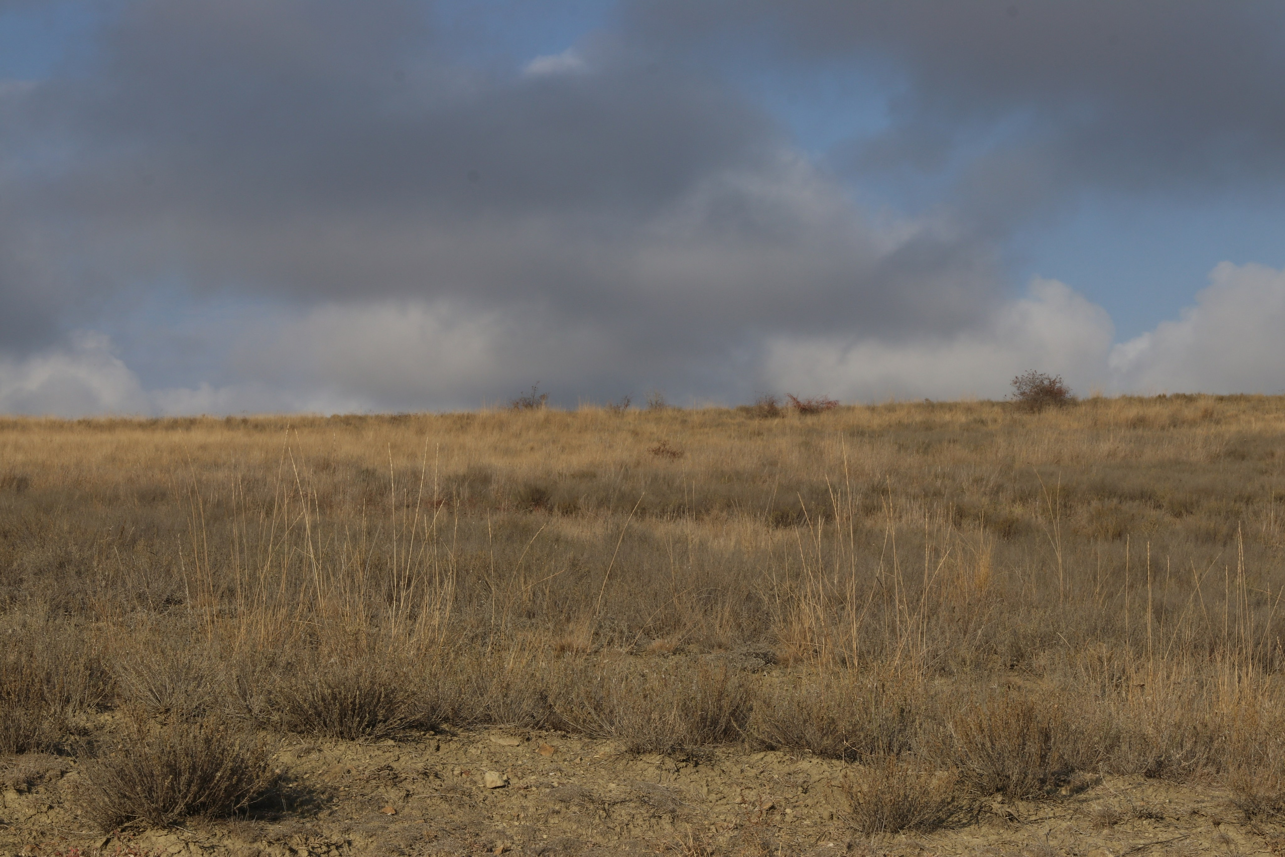 Крым. ЮБК (Гурзуф, Судак и их окрестности). Ноябрь 2023. Путешественник-фотограф из Санкт-Петербурга Татьяна Свистулина