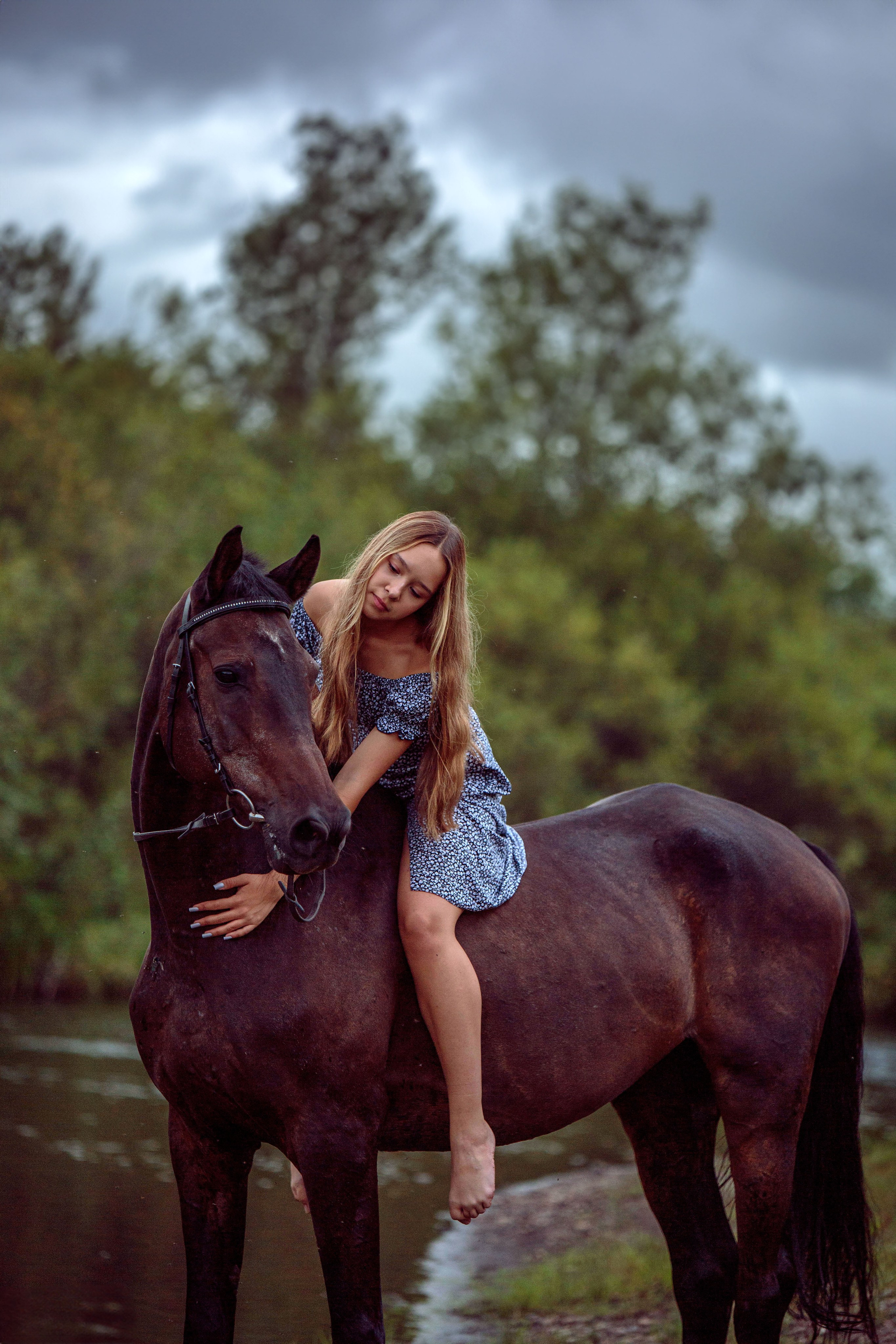 Конный двор. Конный фотограф в Красноярске — Любовь Похабова