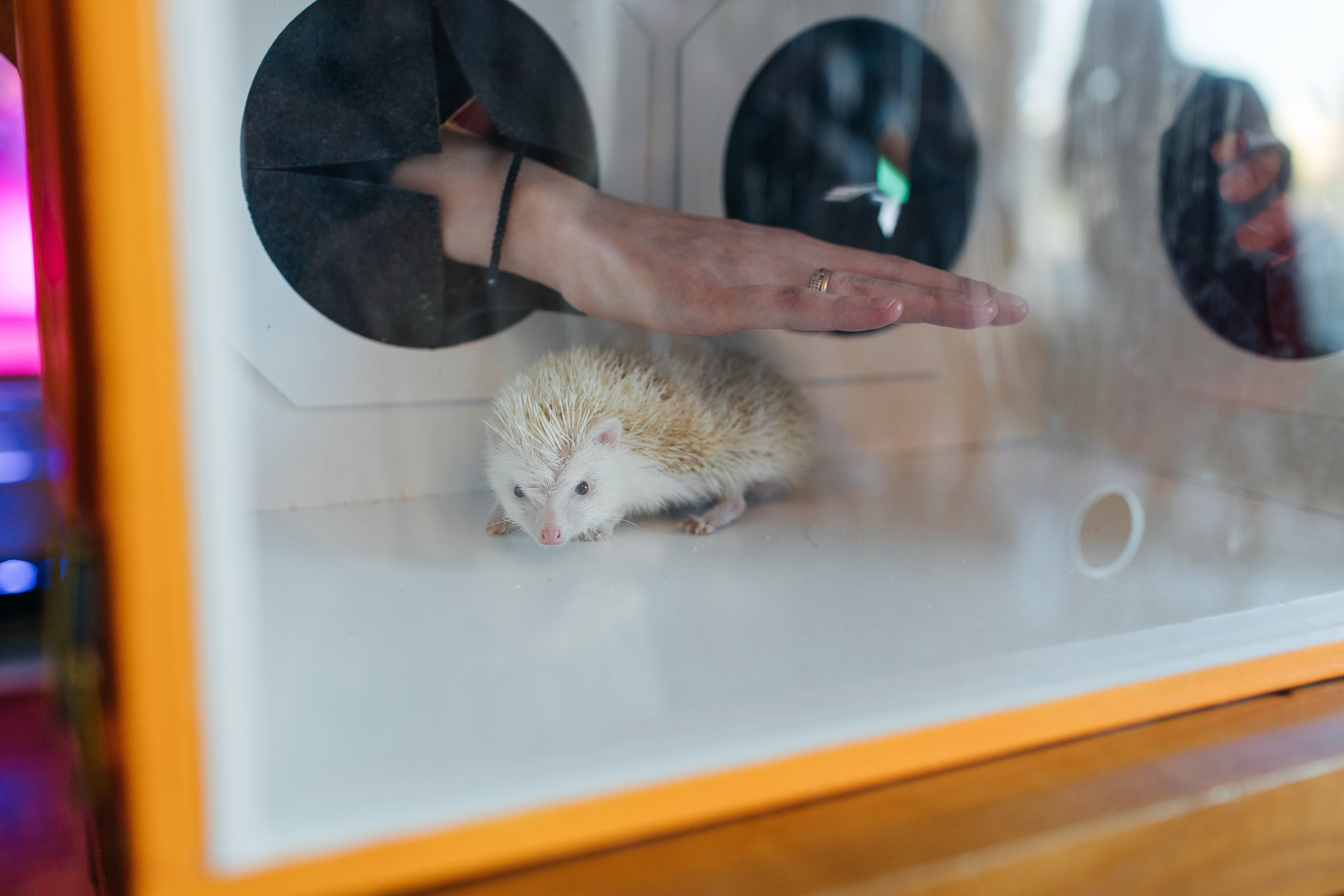 Марусе 9 лет. Свадебный и семейный фотограф