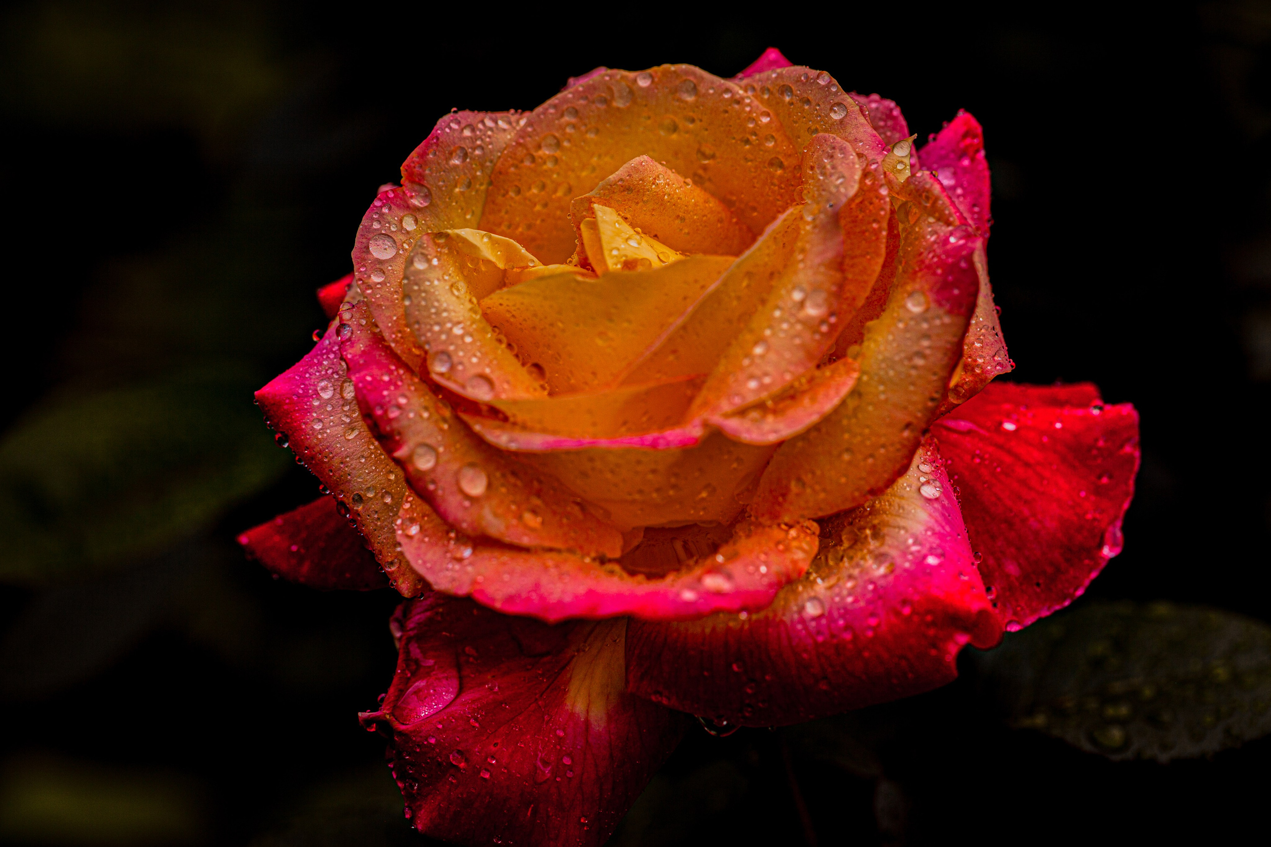 Медиапродюсер, фотограф в Минеральных Водах —Виктор Холодов