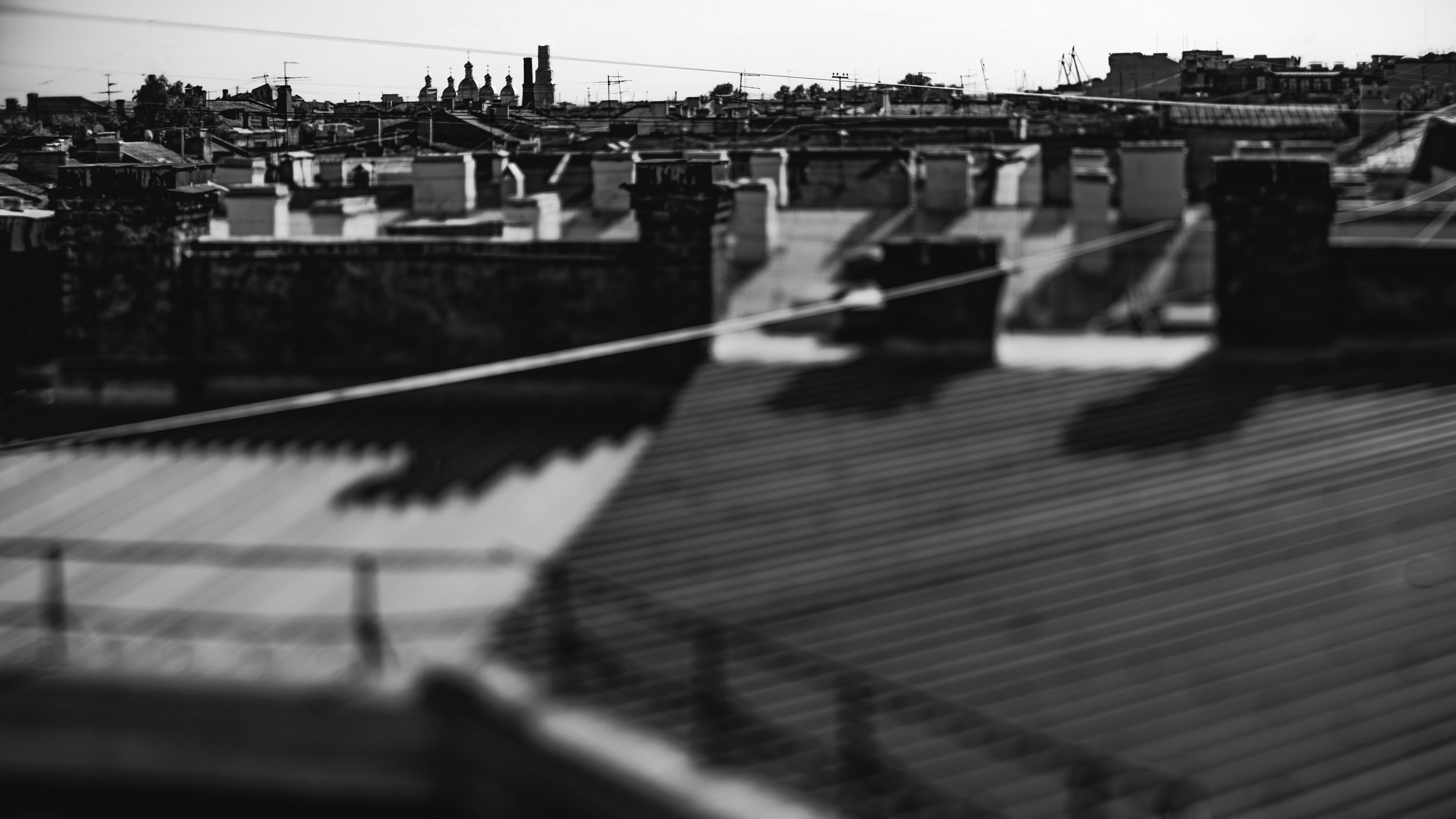 Saint Petersburg. The Andris