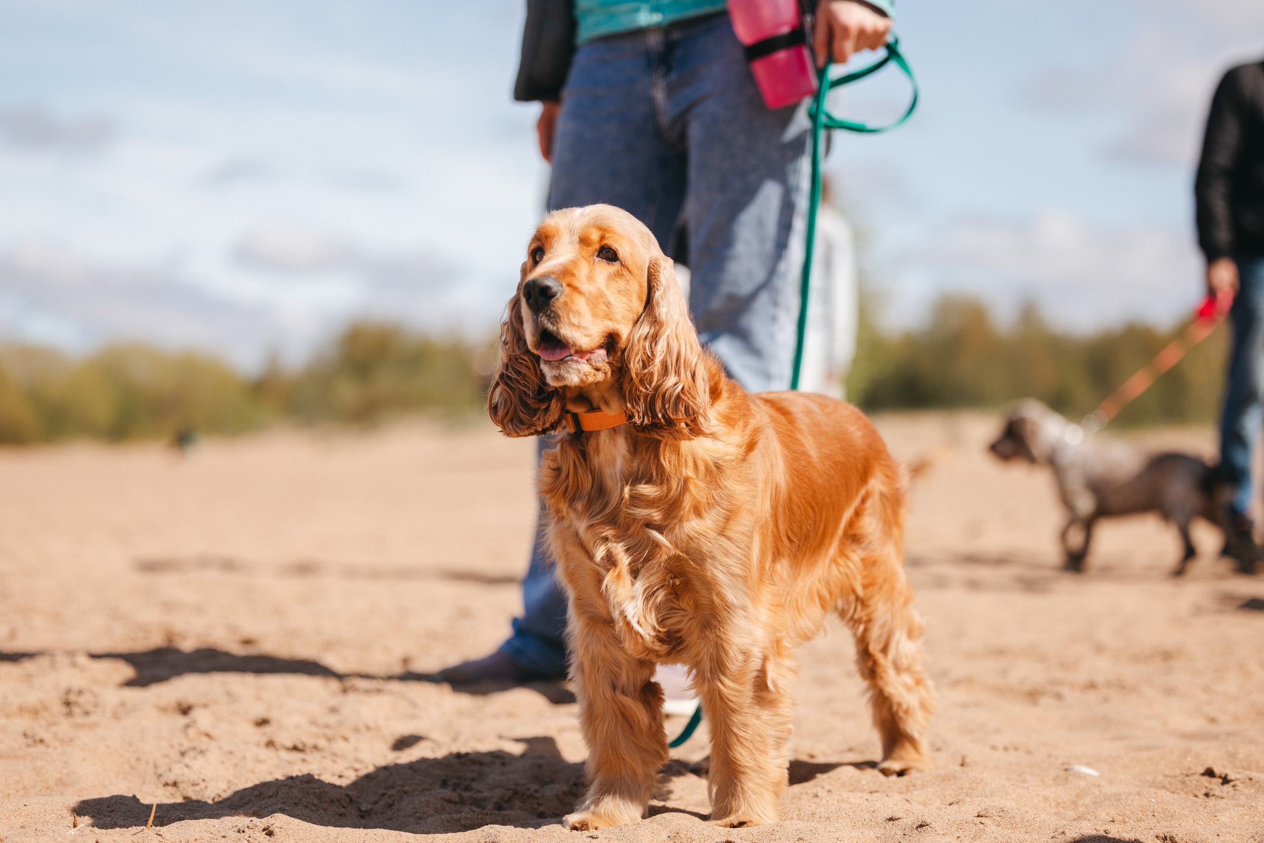 Спанимания. Фотограф анималист Осипчикова Мария