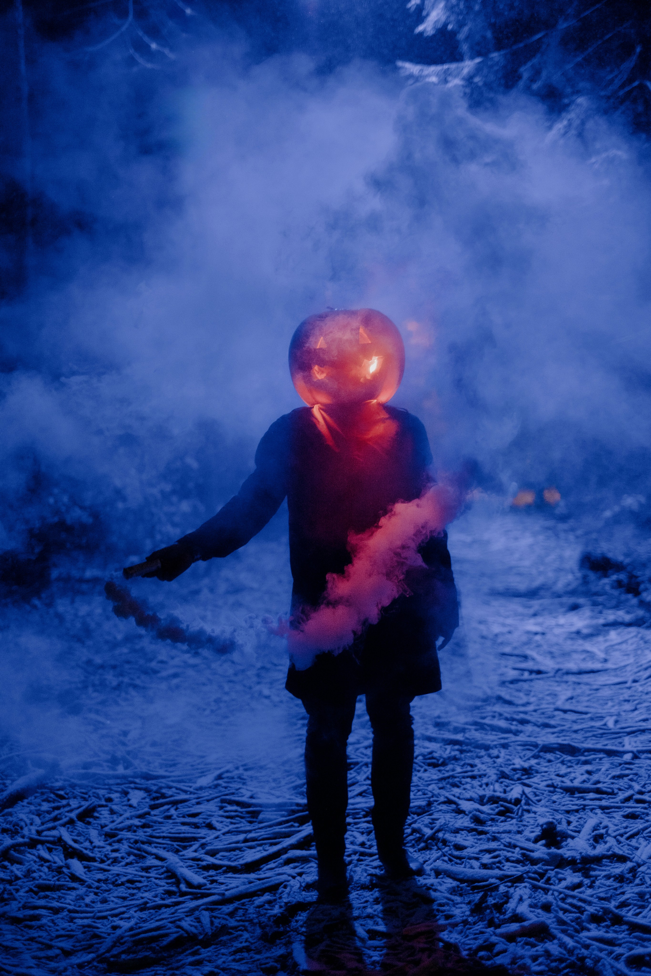 «Избранник тыквенной грядки». Фотограф (Москва, Мытищи)— Комова Анастасия