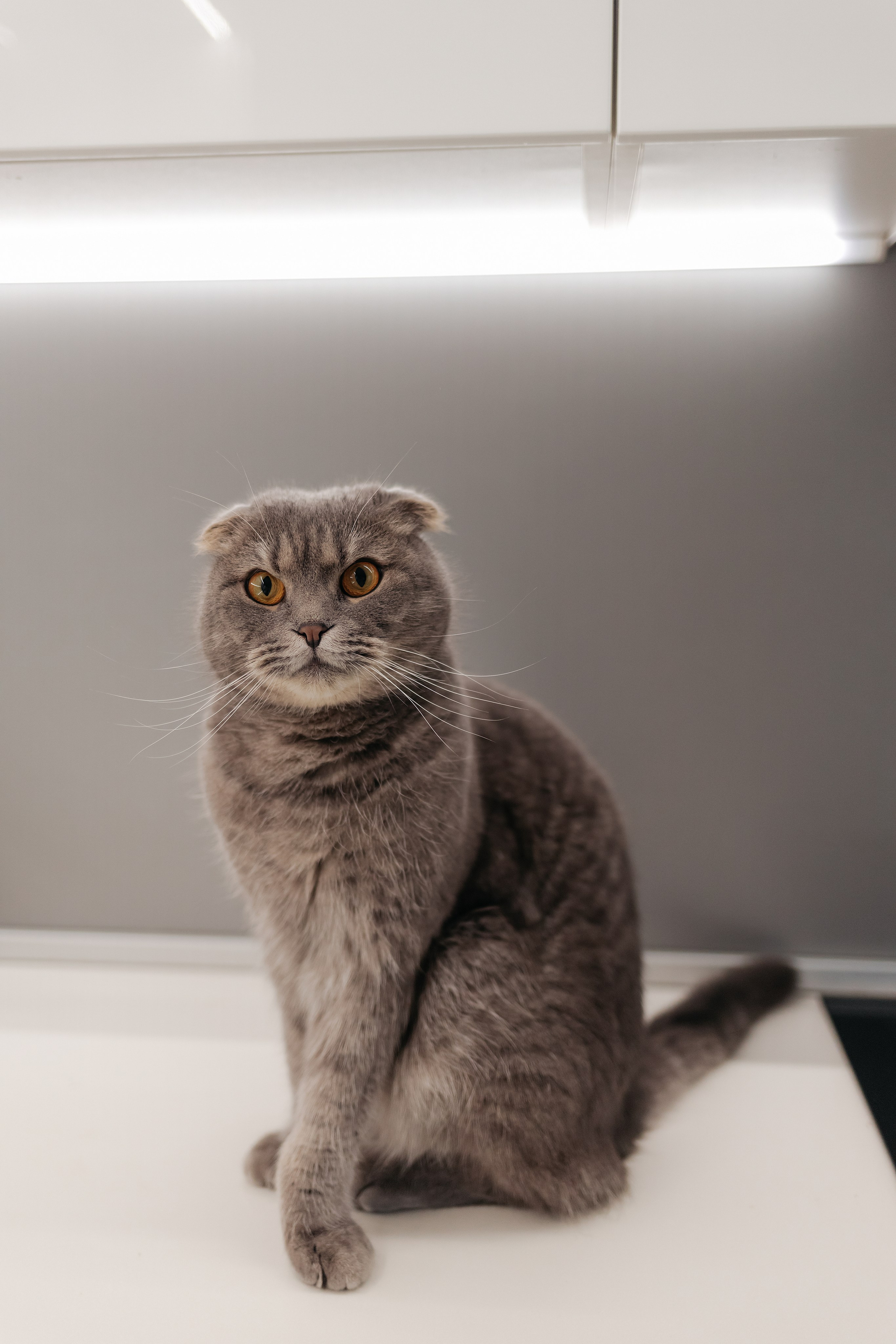 Ксюша, Андрей и Есения. Свадебный фотограф в Пскове и Санкт-Петербурге | Анна Голикова