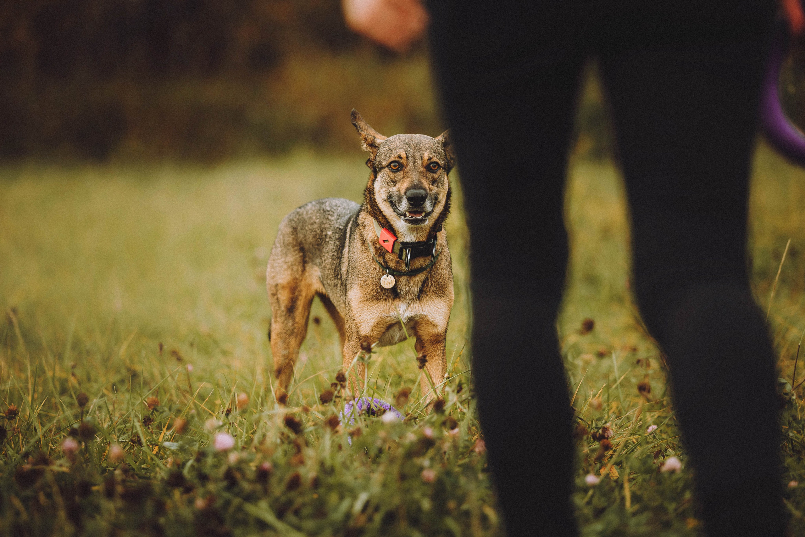 Аня, Нео и Луна