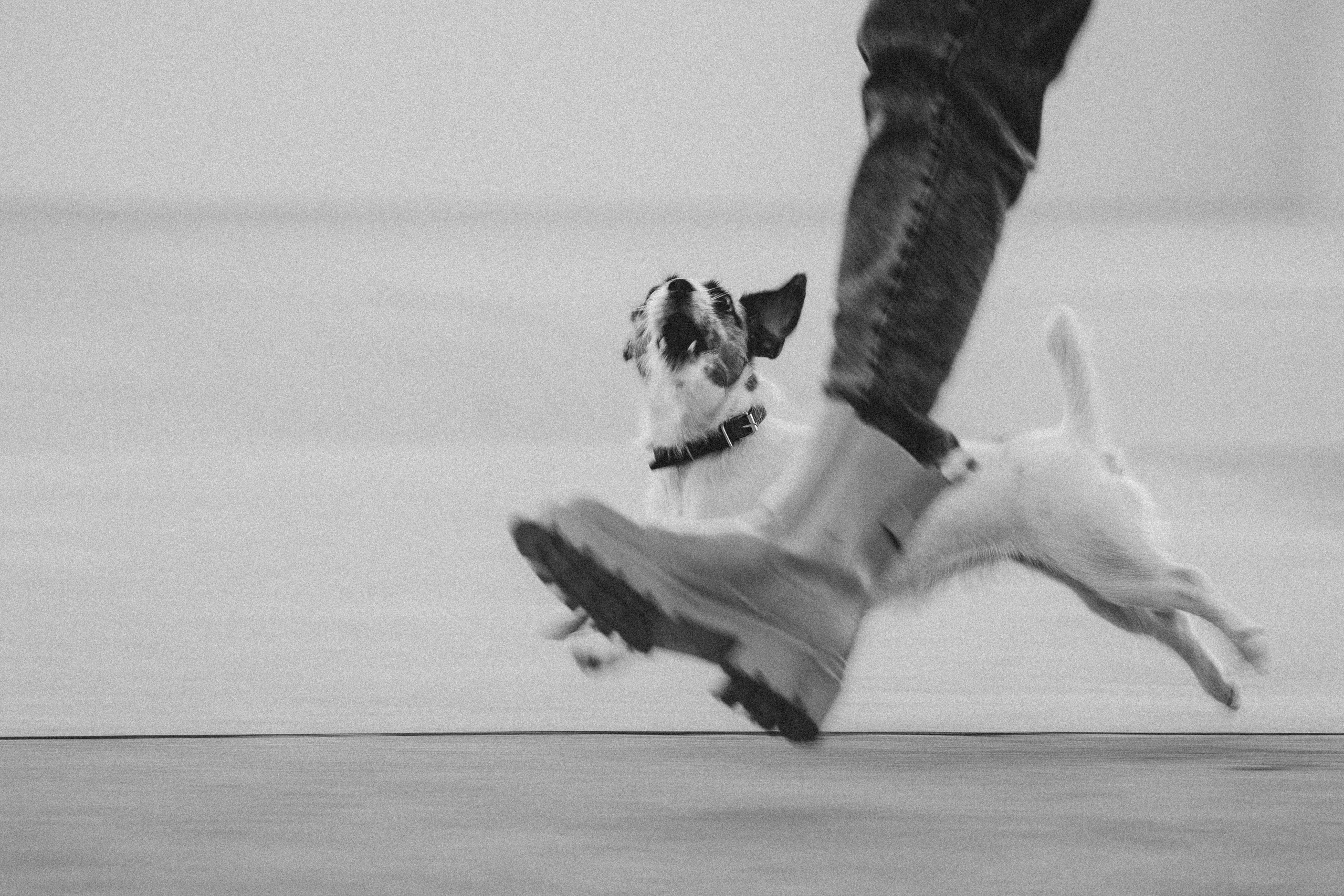 Лера и Рада