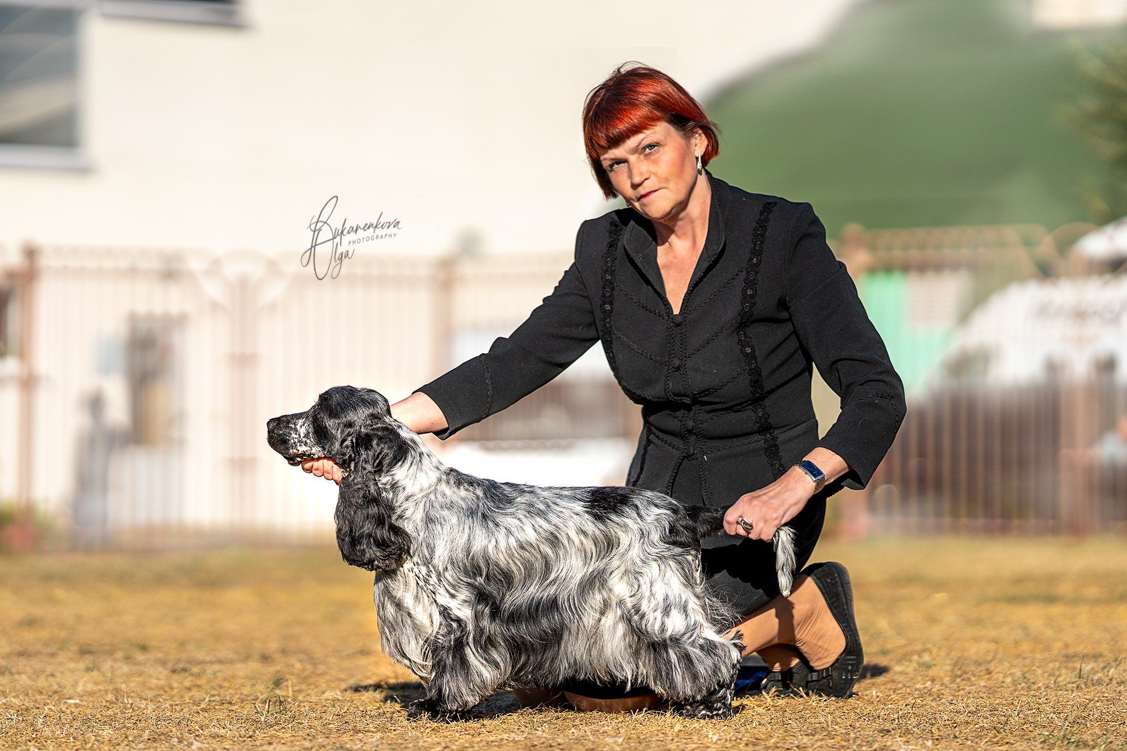 Выставки. Фотограф анималист Ольга Луканенкова в Москве