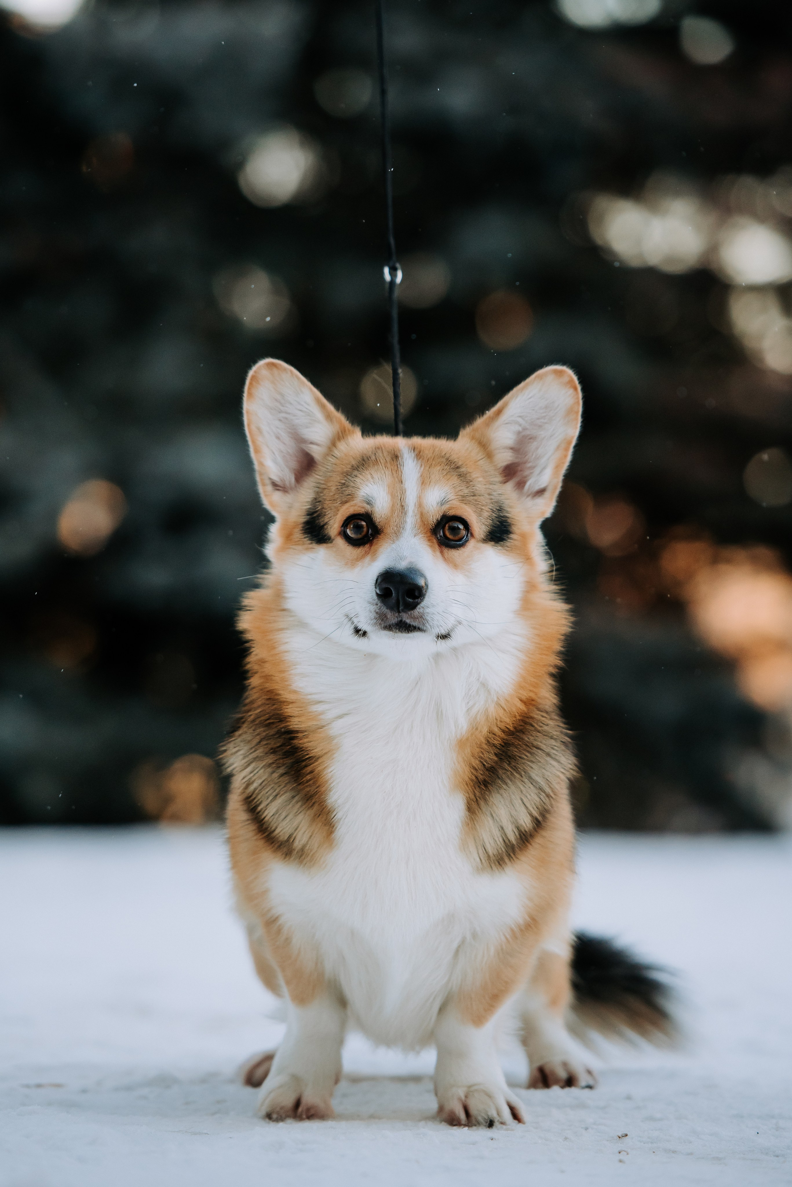 С выставок. Фотограф Диана Оленина Красноярск / Братск
