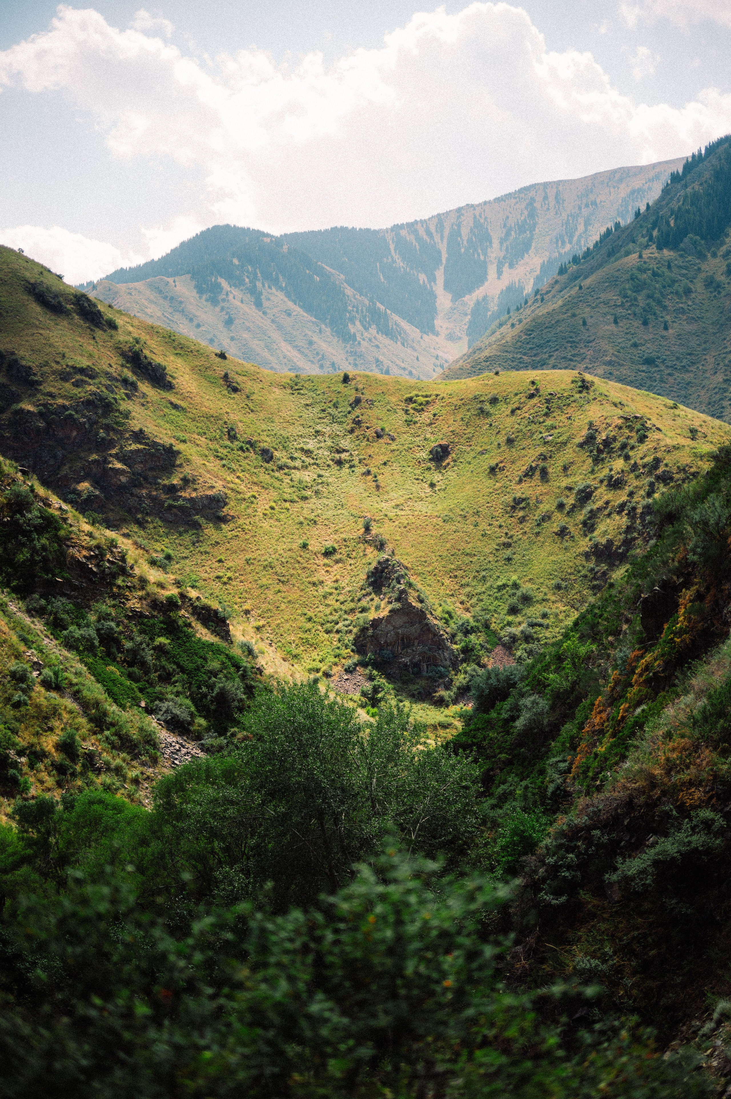 Плато Ассы: июль 2025. Фотограф в Алматы — Дарья Фёдорова