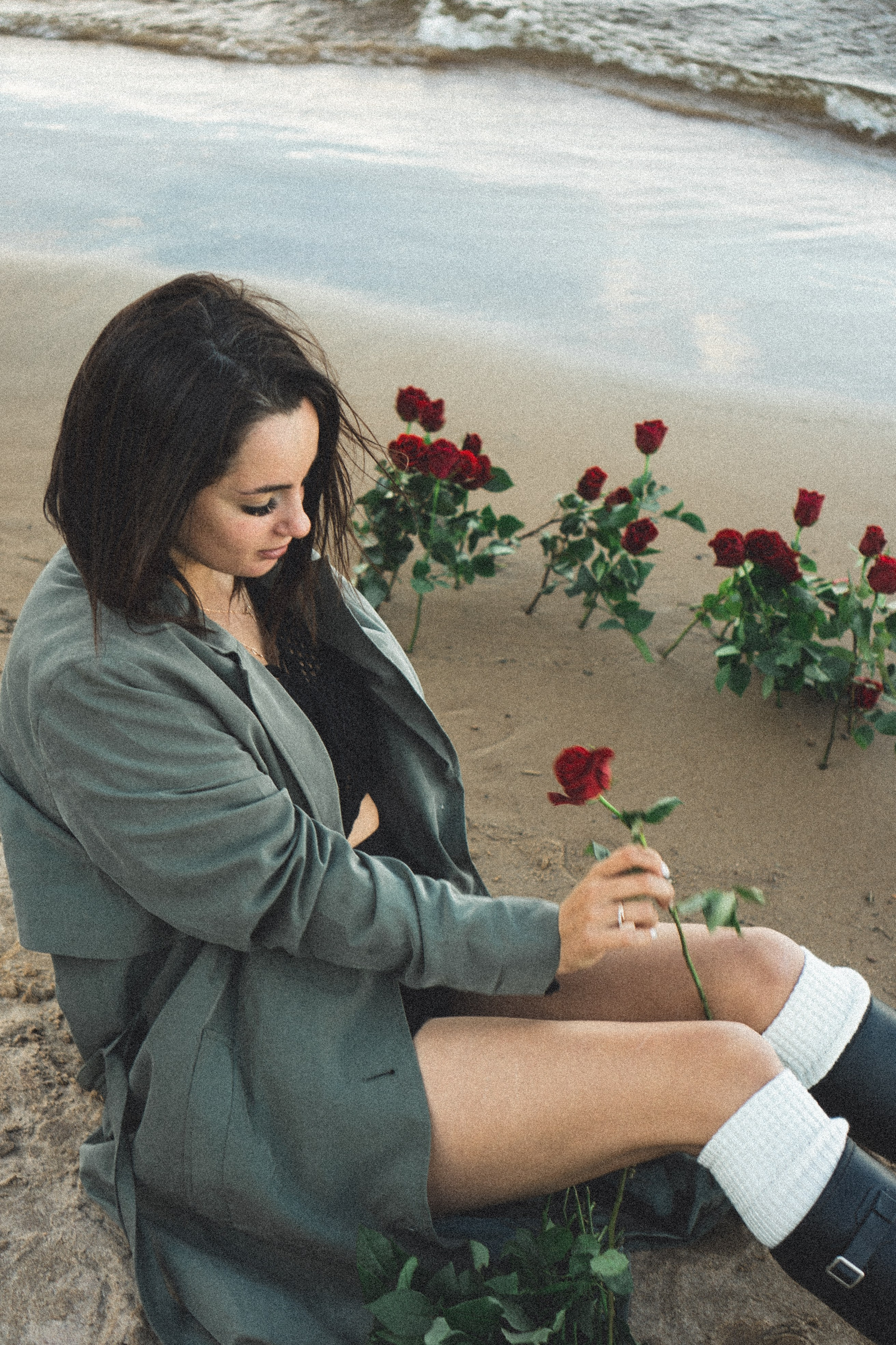 Розы. Профессиональный фотограф, Санкт-Петербург — Виктория Богомолова