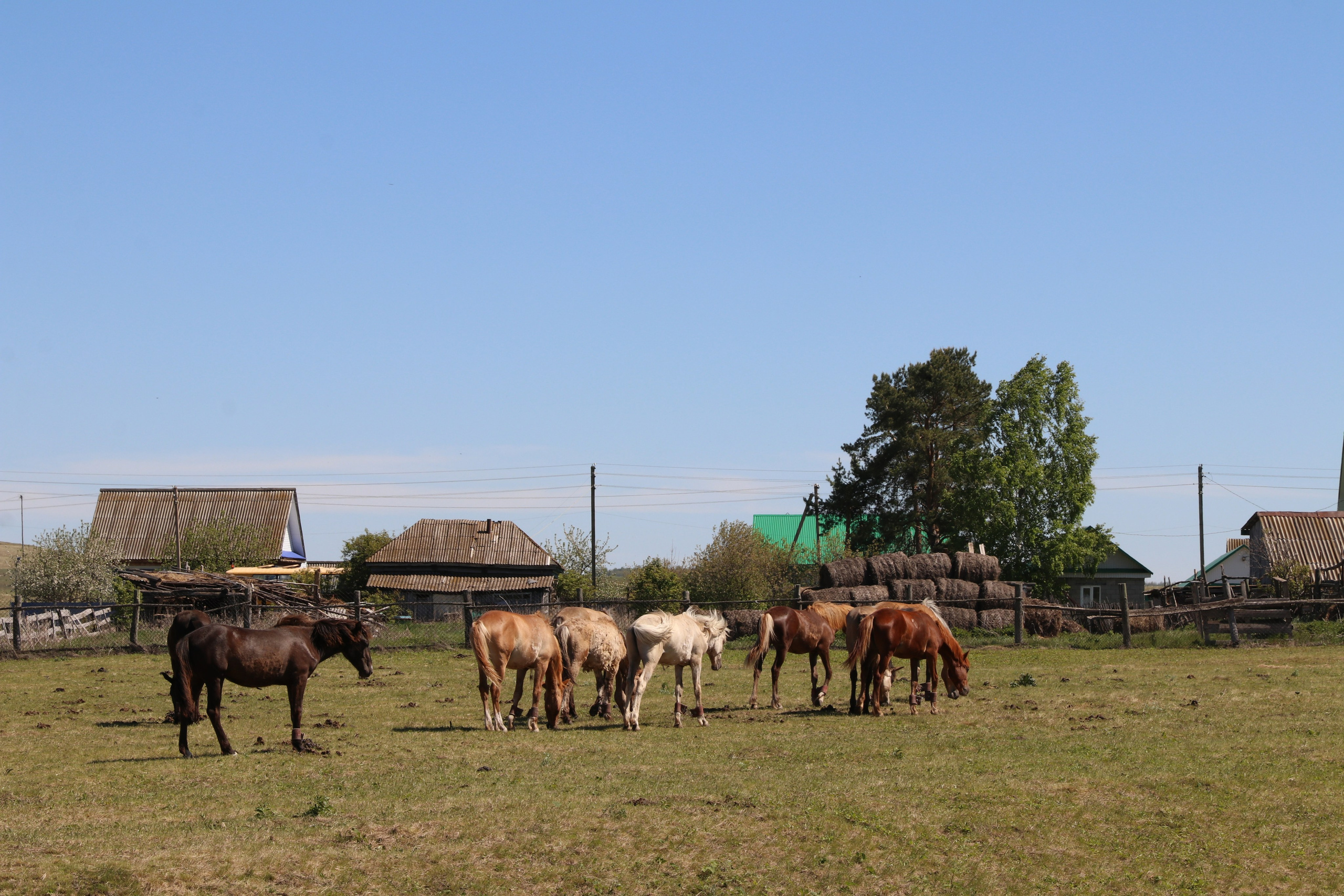 Велопоход Уфа — Мелеуз. Май 2024. Путешественник-фотограф из Санкт-Петербурга Татьяна Свистулина