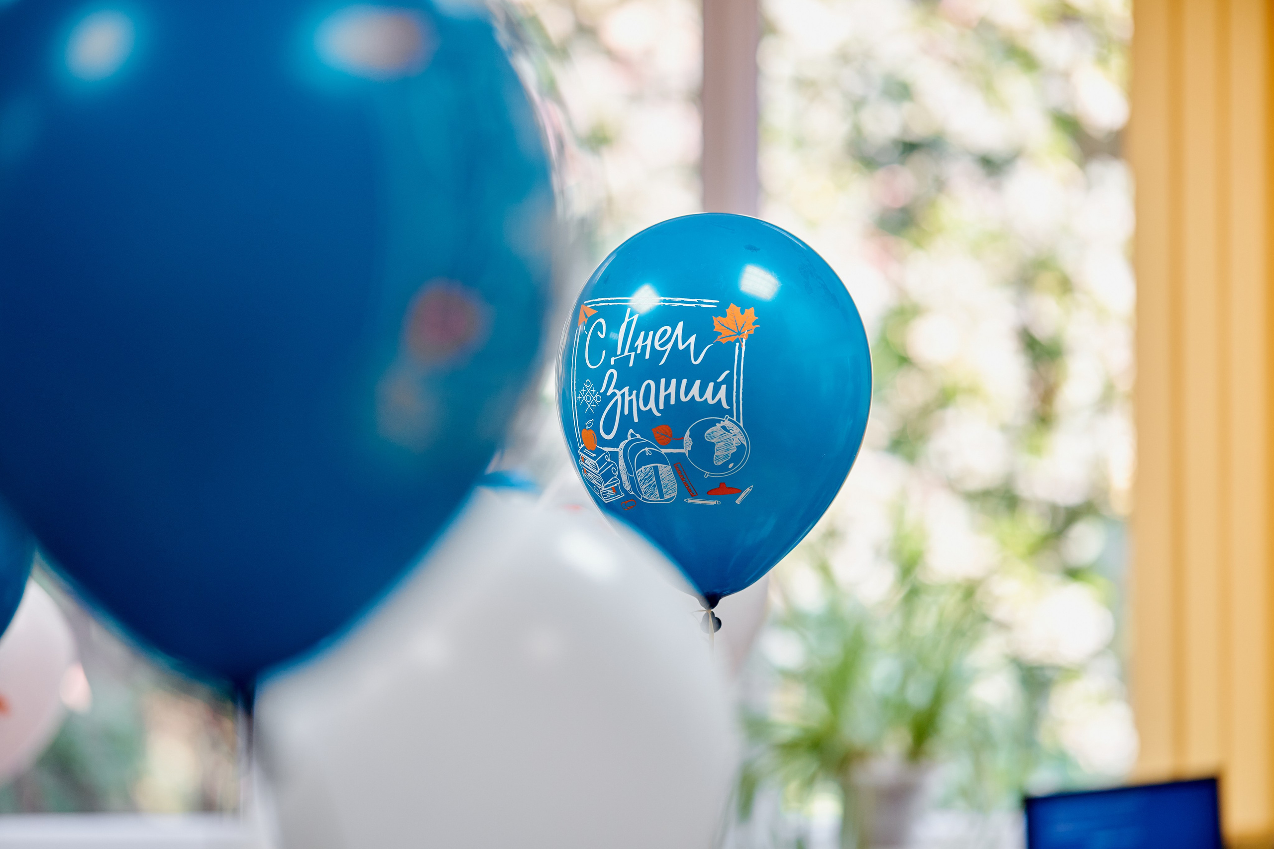 1 класс. 37 школа. Таганрог. Фотограф Таганрог Анна Трайжон