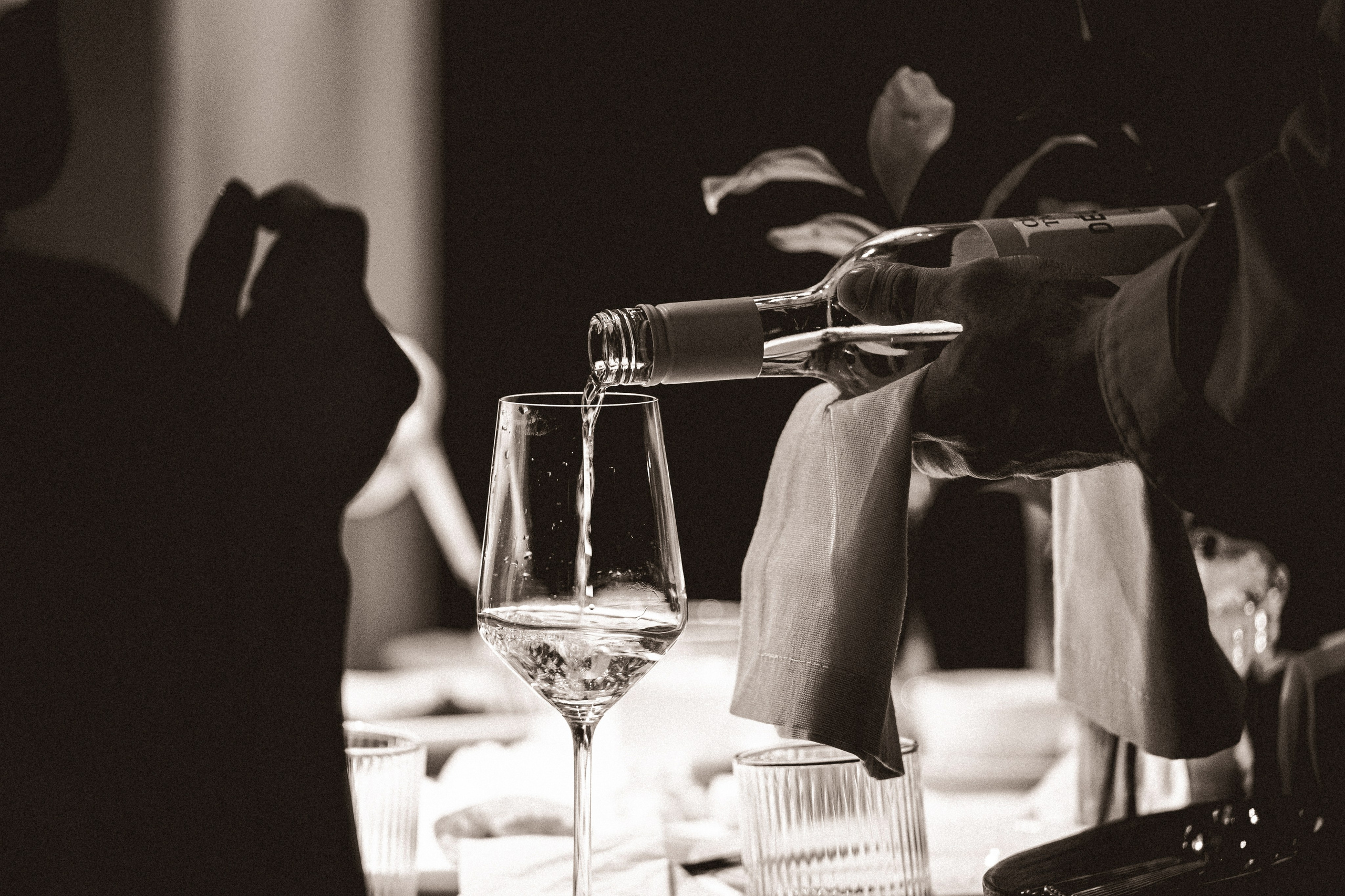 Гоствевой ужин в «Тепло» паста-бар. Фотограф Великий Новгород Артем Чернецкий