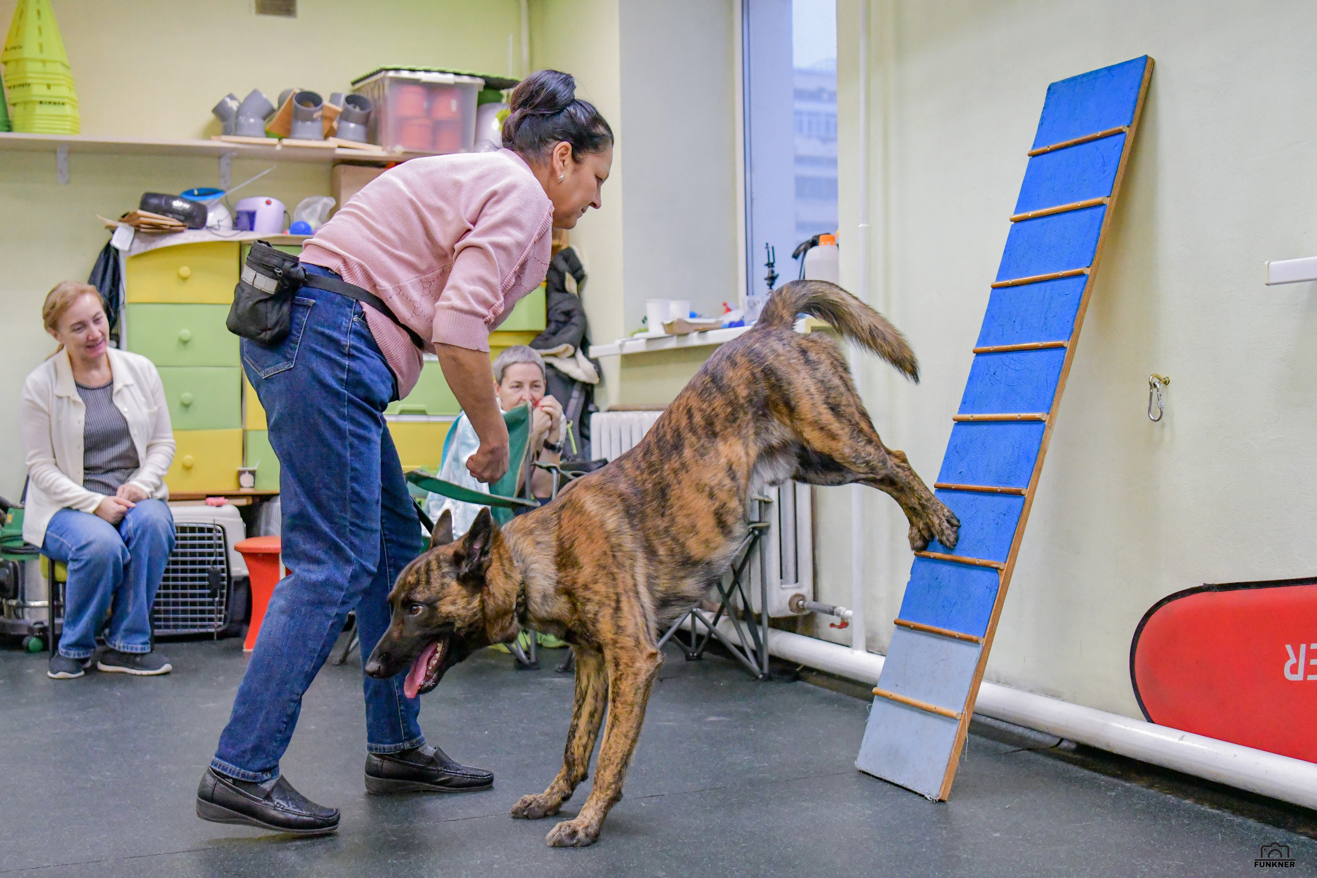Кинологический клуб «Бодрый хвост». Свой взгляд через объектив
