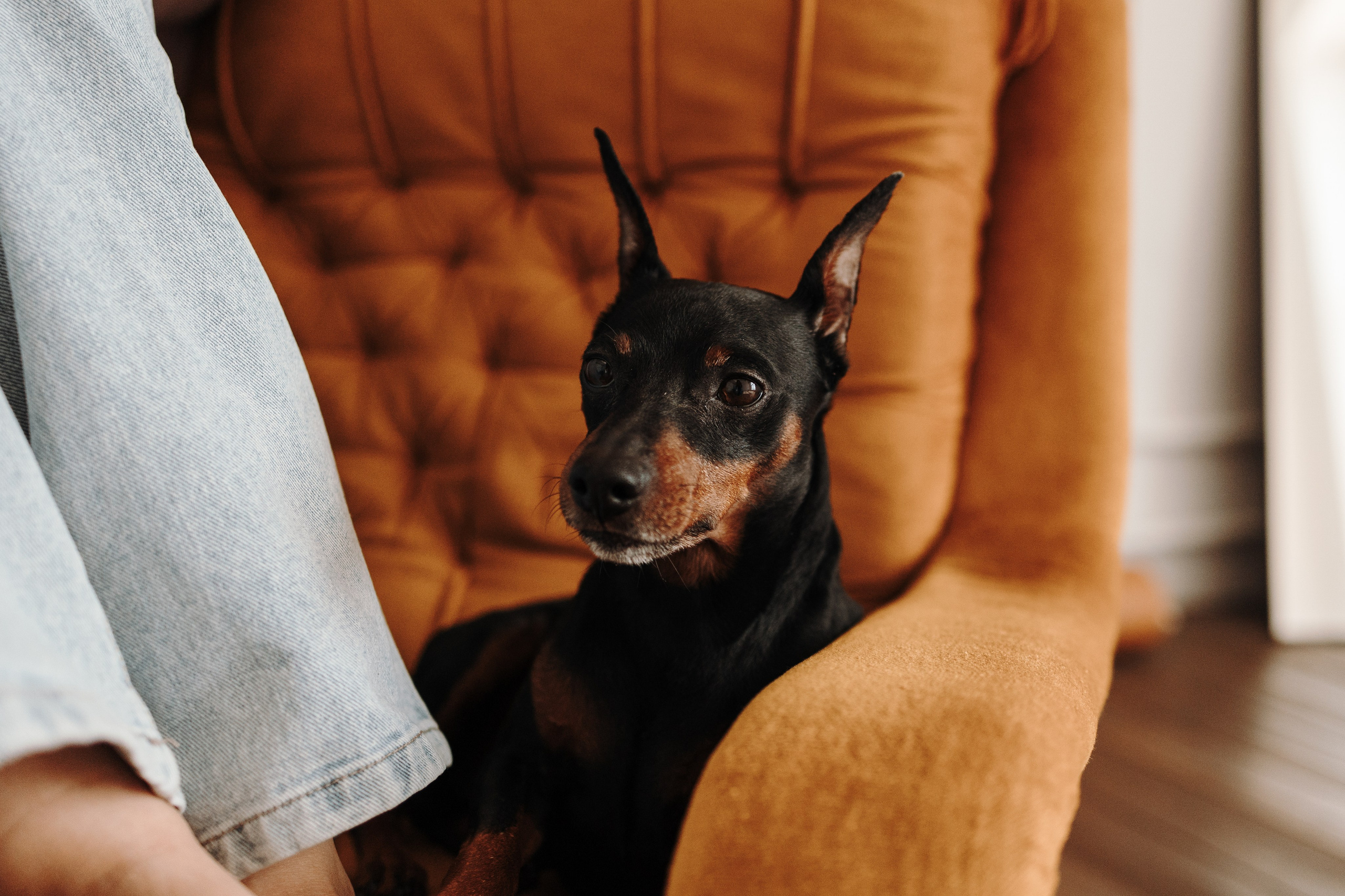 Катя и ее мальчики. Фотограф — Анималист | Санкт-Петербург