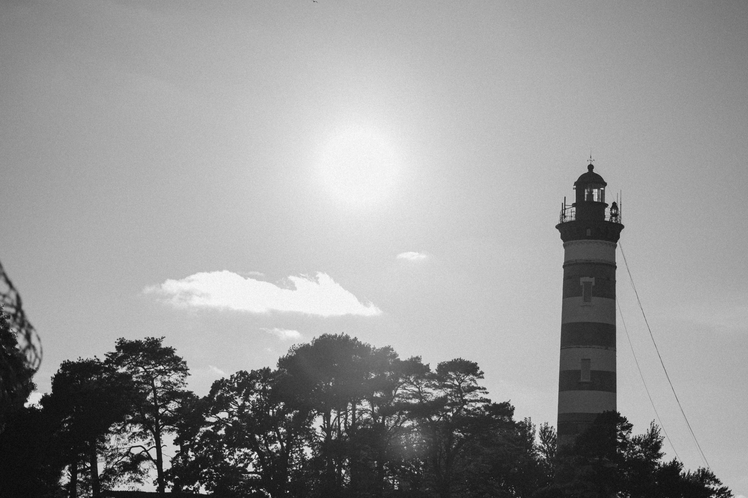 Верон, Гарри и их семья. Фотограф — Анималист | Санкт-Петербург