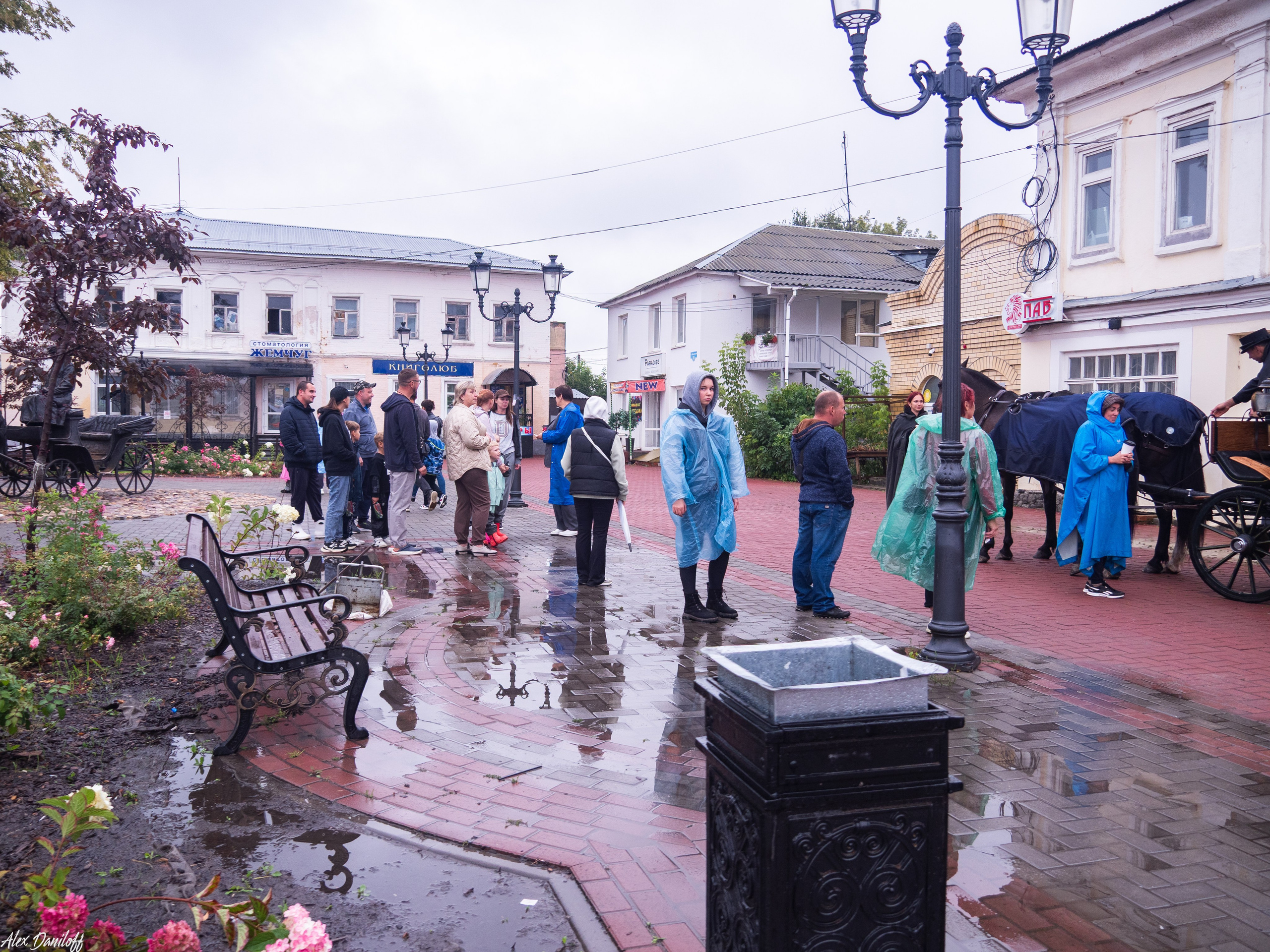 День города Муром 2025. Муром-Инфо. Новости культуры, образования, спорта в городе Муром