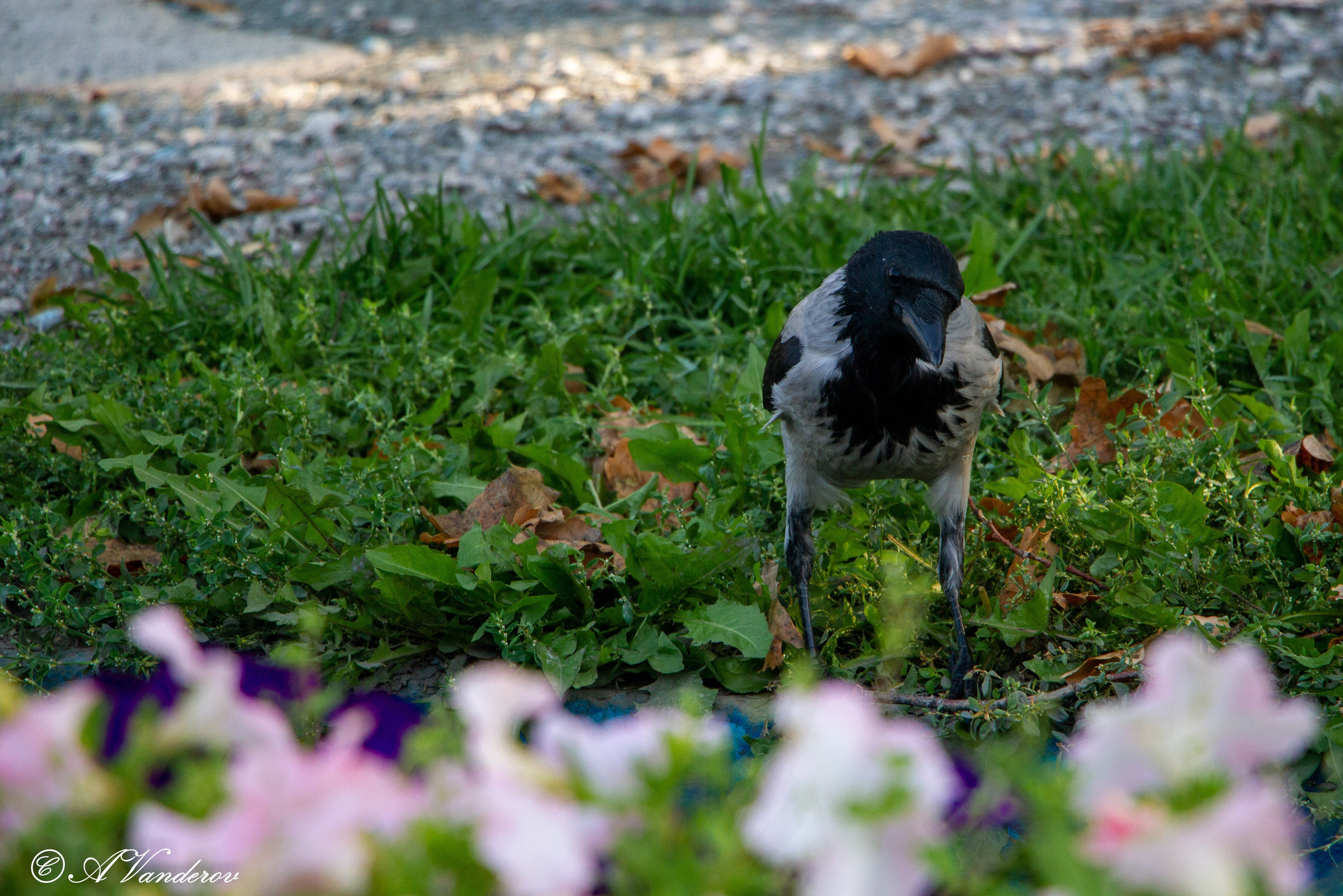 Омск 2023. Фотограф Омск | Александр Вандеров