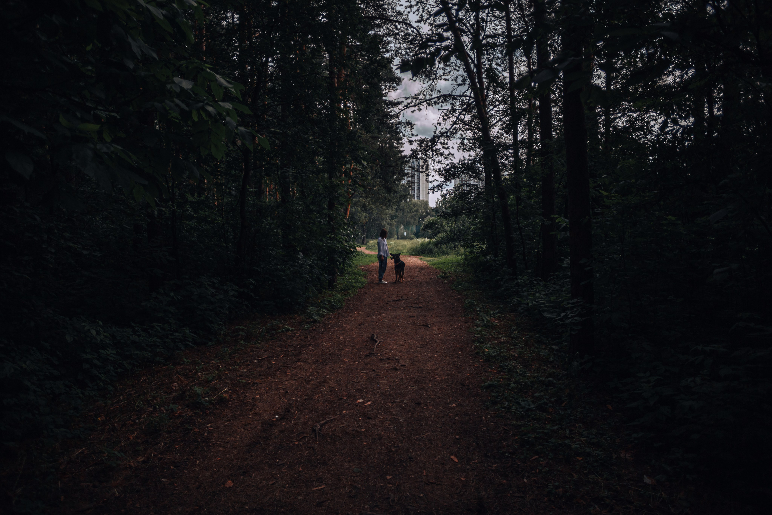Лесная летняя фотопрогулка. Фотограф-анималист Татьяна Степанова