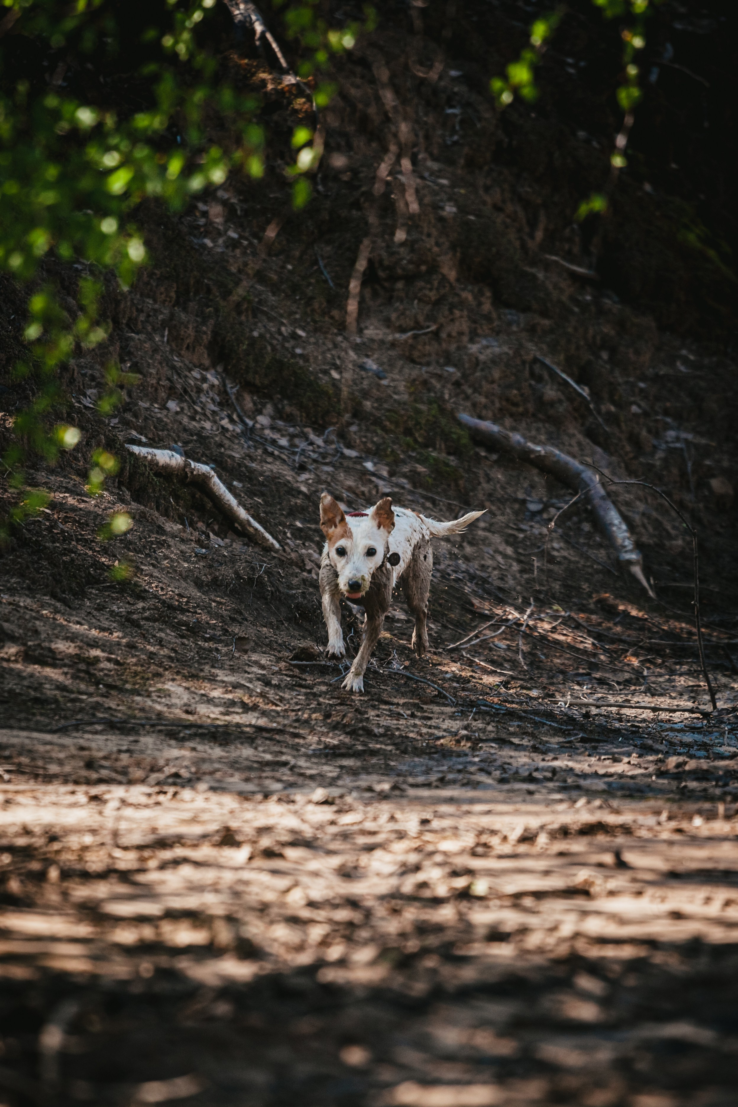 Кондуки. Фотограф-анималист Татьяна Степанова