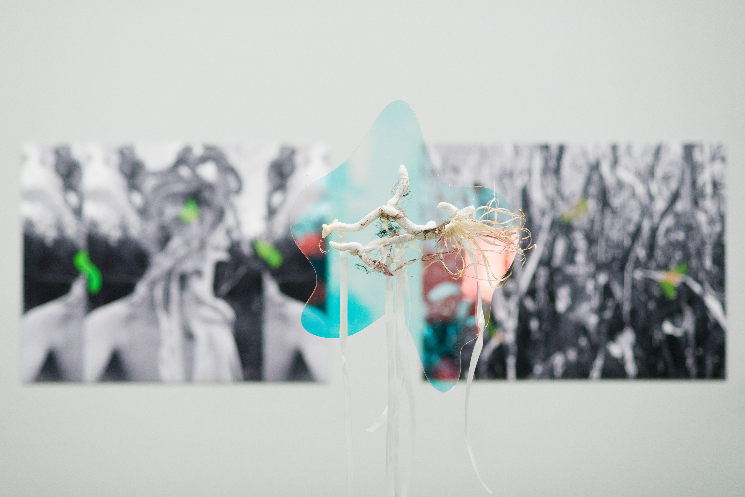 Выставки. Фотограф Руслан Хафизов