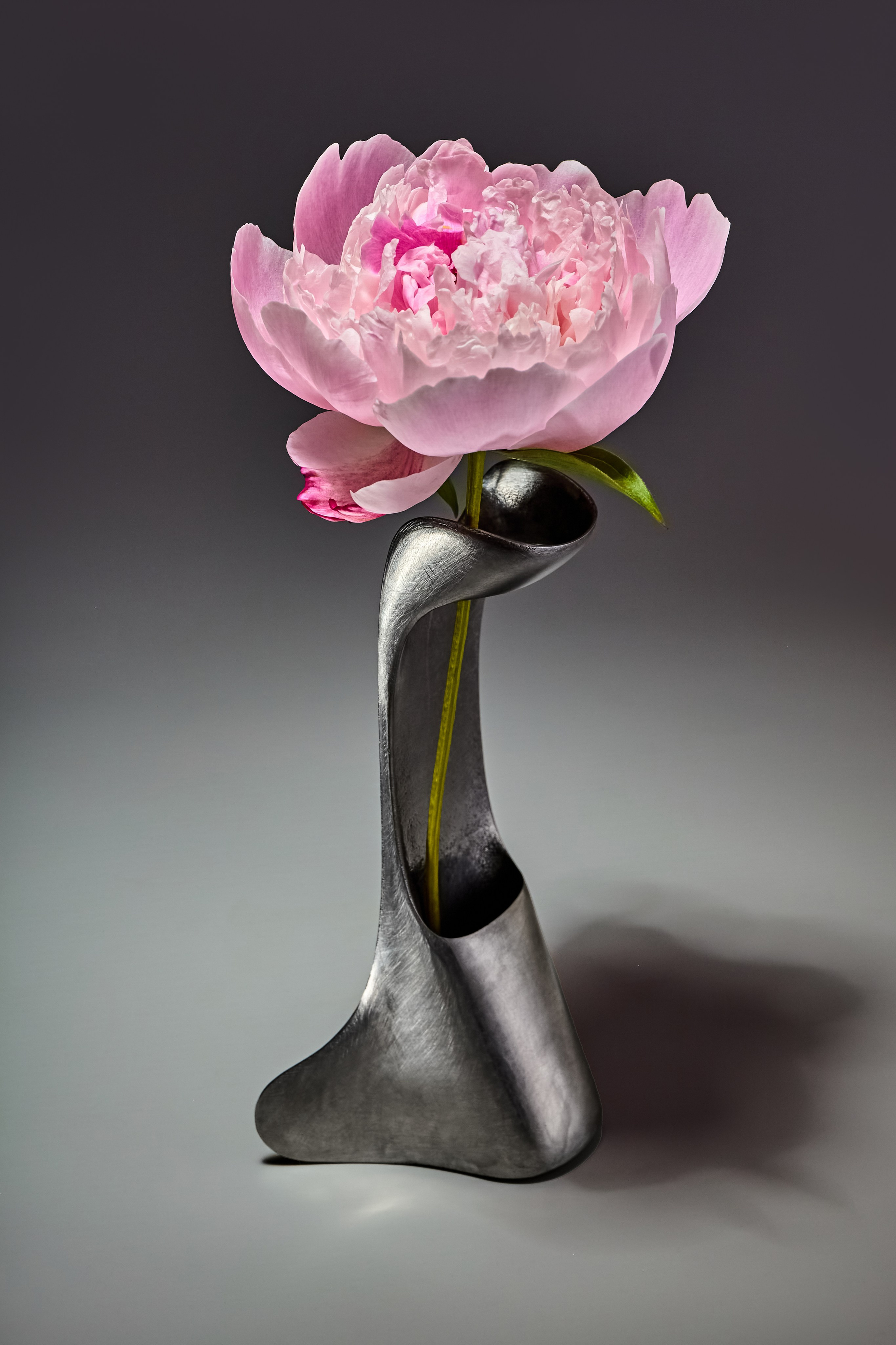 Предметный фотограф в Москве Дарья Радькович