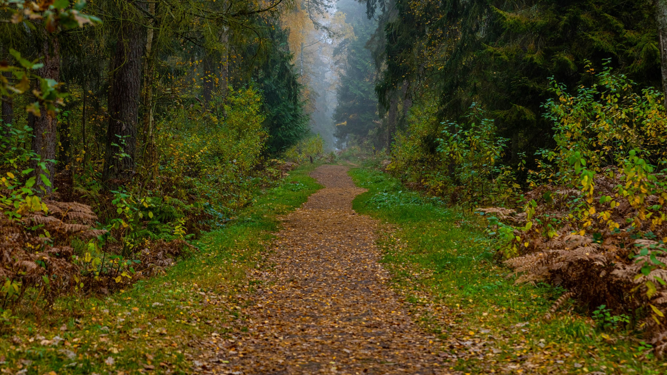 2024 10 Зеленоградск, Светлогорск, Куршская коса. Фотографии