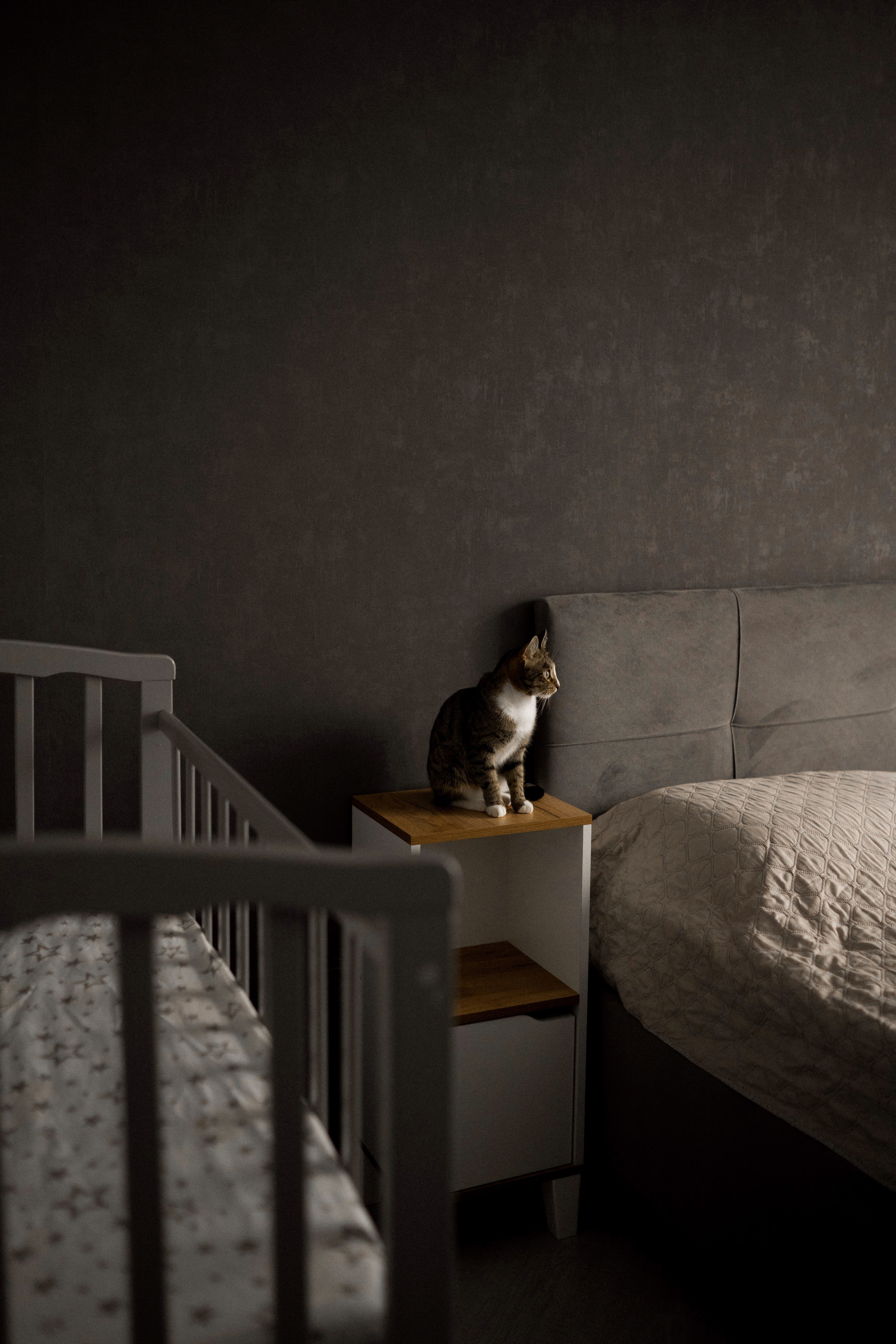 Домашняя съемка в Суздале. Семейный фотограф в Суздале Елена Кузнецова