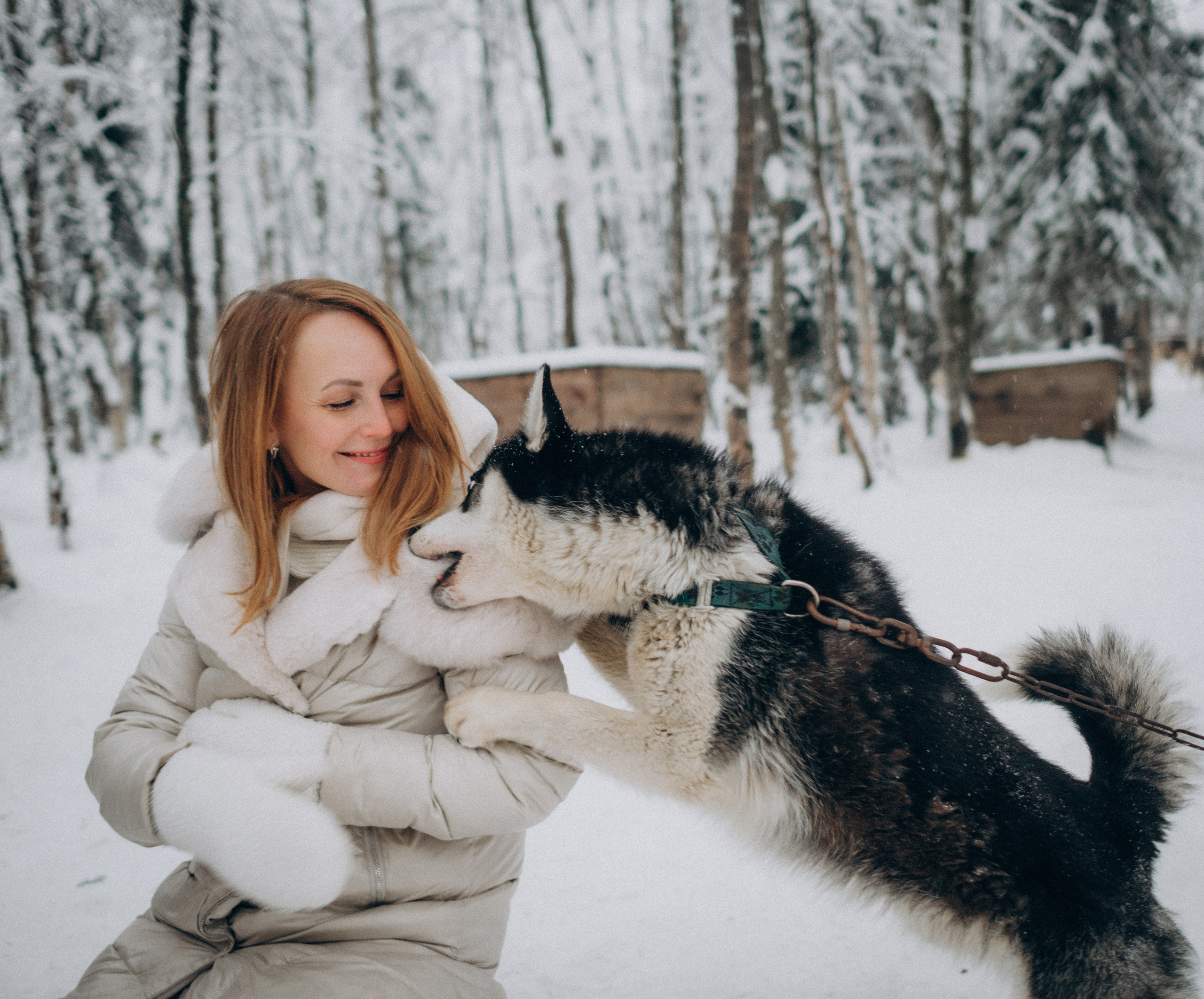 Хаски-терапия. Фотограф Наталья Могилевская Мурманск Териберка Сейдозеро Рыбачий