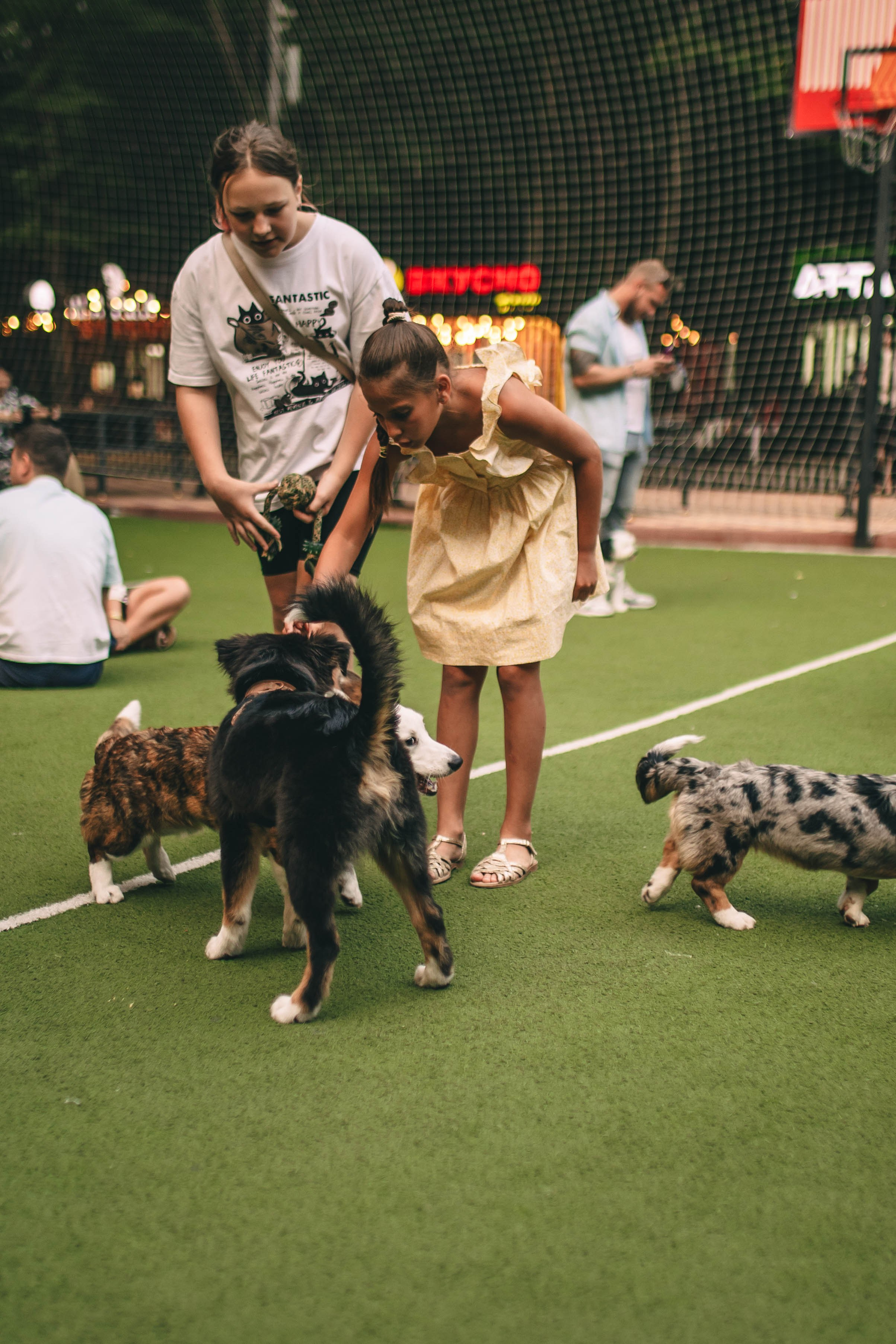 Pet-Party + Live-music |Парк Культуры. Фотограф в Ставрополе Алина Клочкова