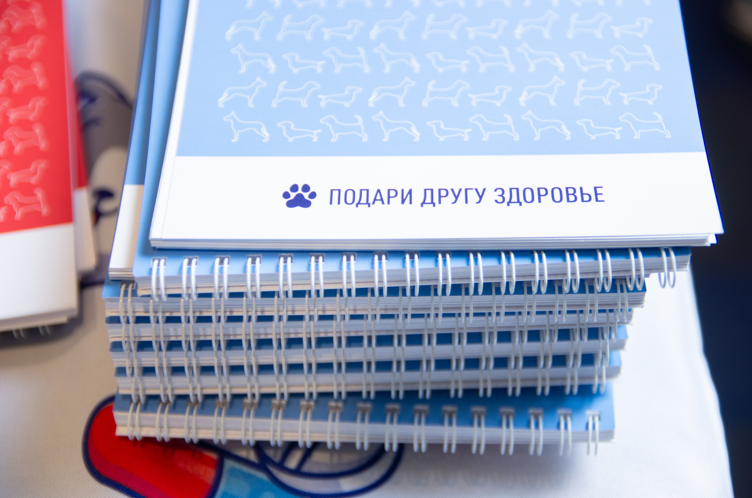 VIII Карельская ветеринарная конференция. Портретный фотограф Денис Милютин