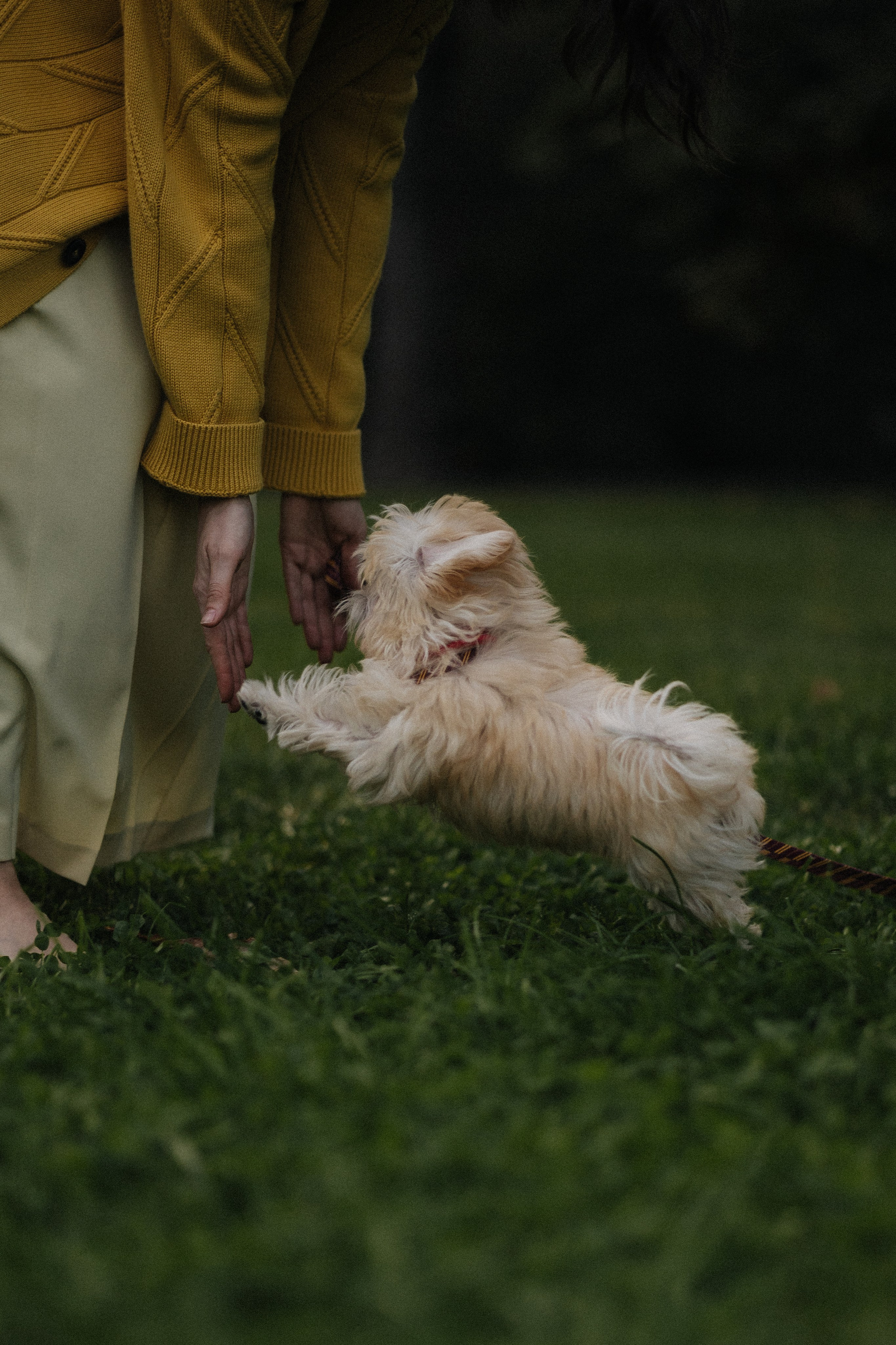 Оля и Бри. Фотораф — анималист Мария Шистка