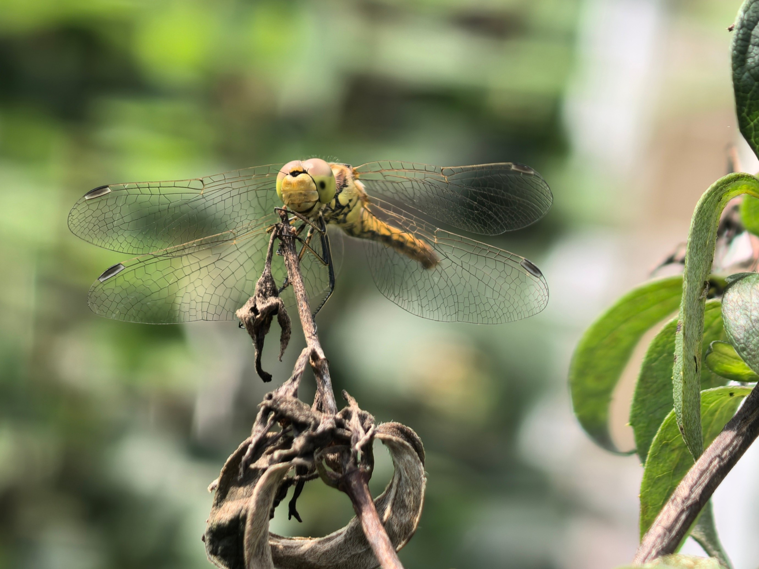 ПочтиМАКРО. Школьные выпускные альбомы в Москве Марина Николаева