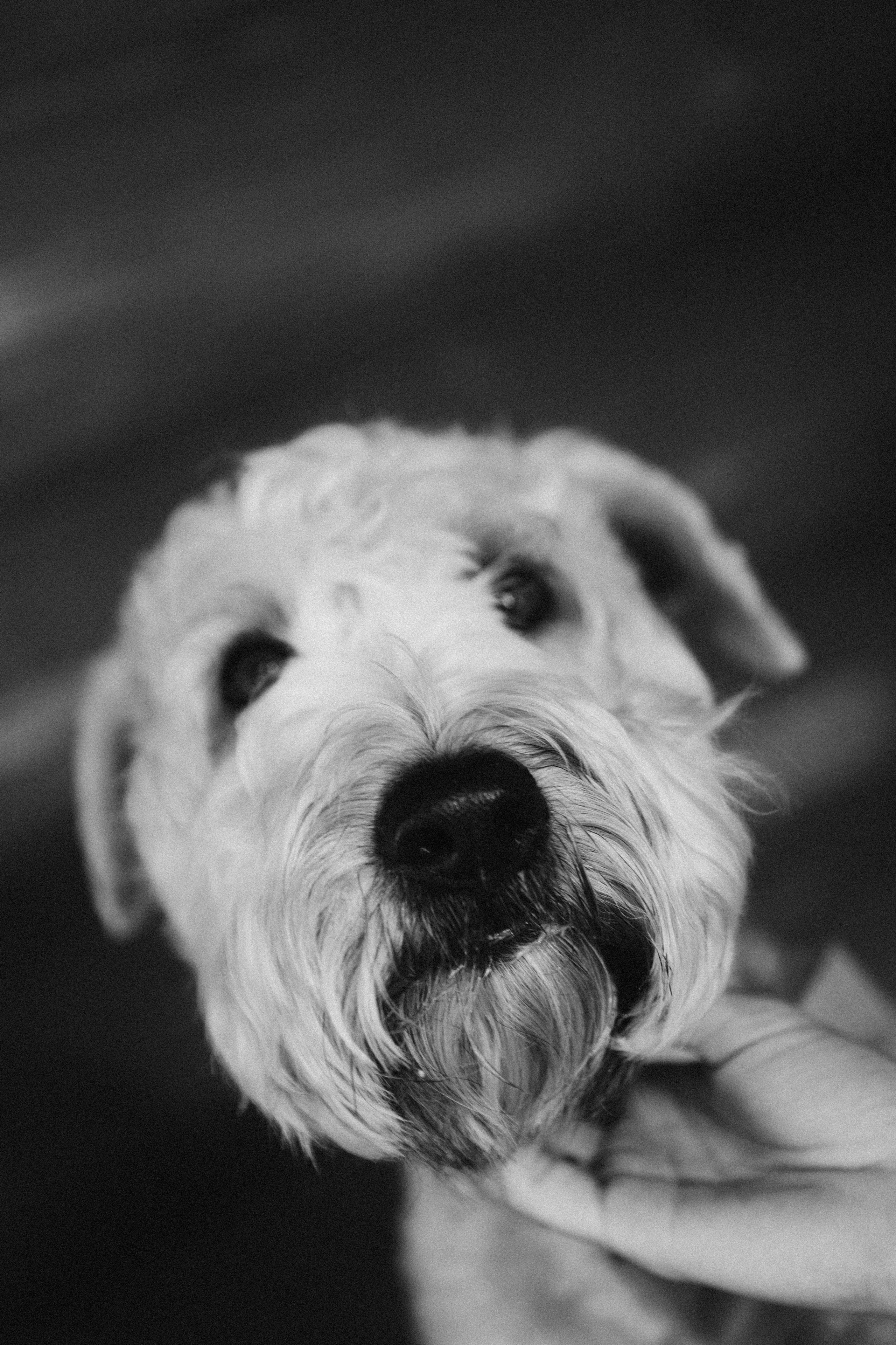 Wedding day. Фотограф Максим Маркелов