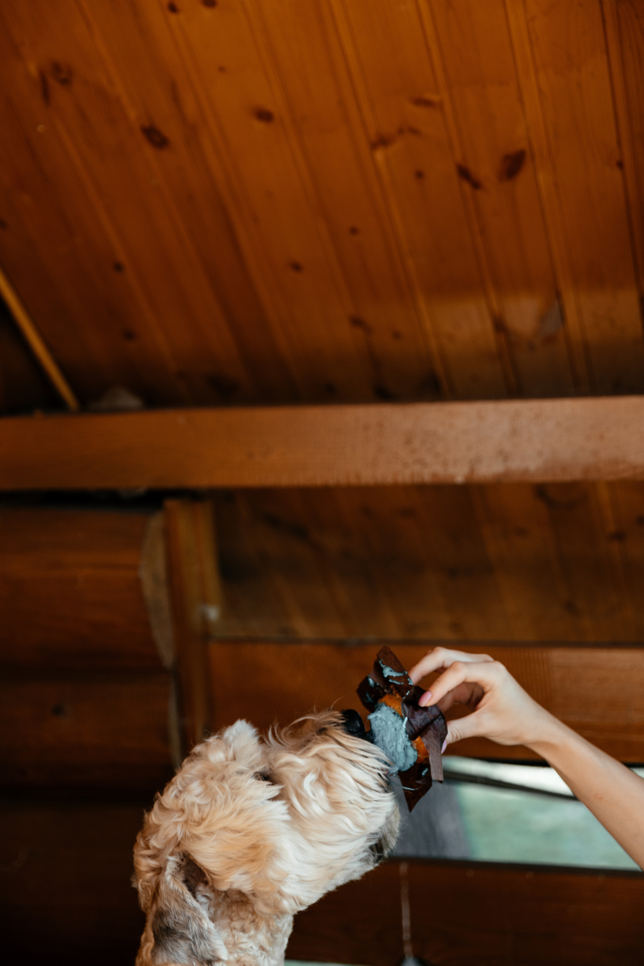 Wedding day. Фотограф Максим Маркелов