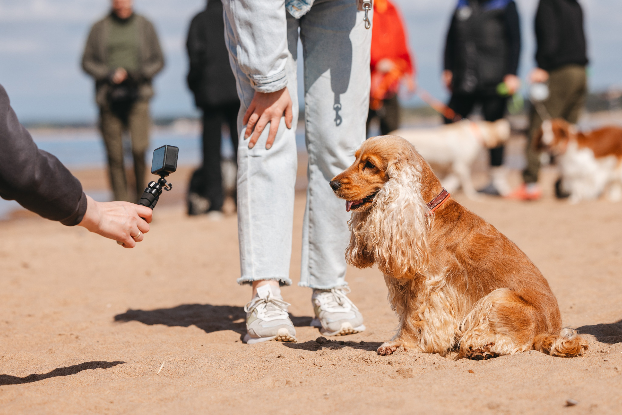 Спанимания. Фотограф анималист Осипчикова Мария