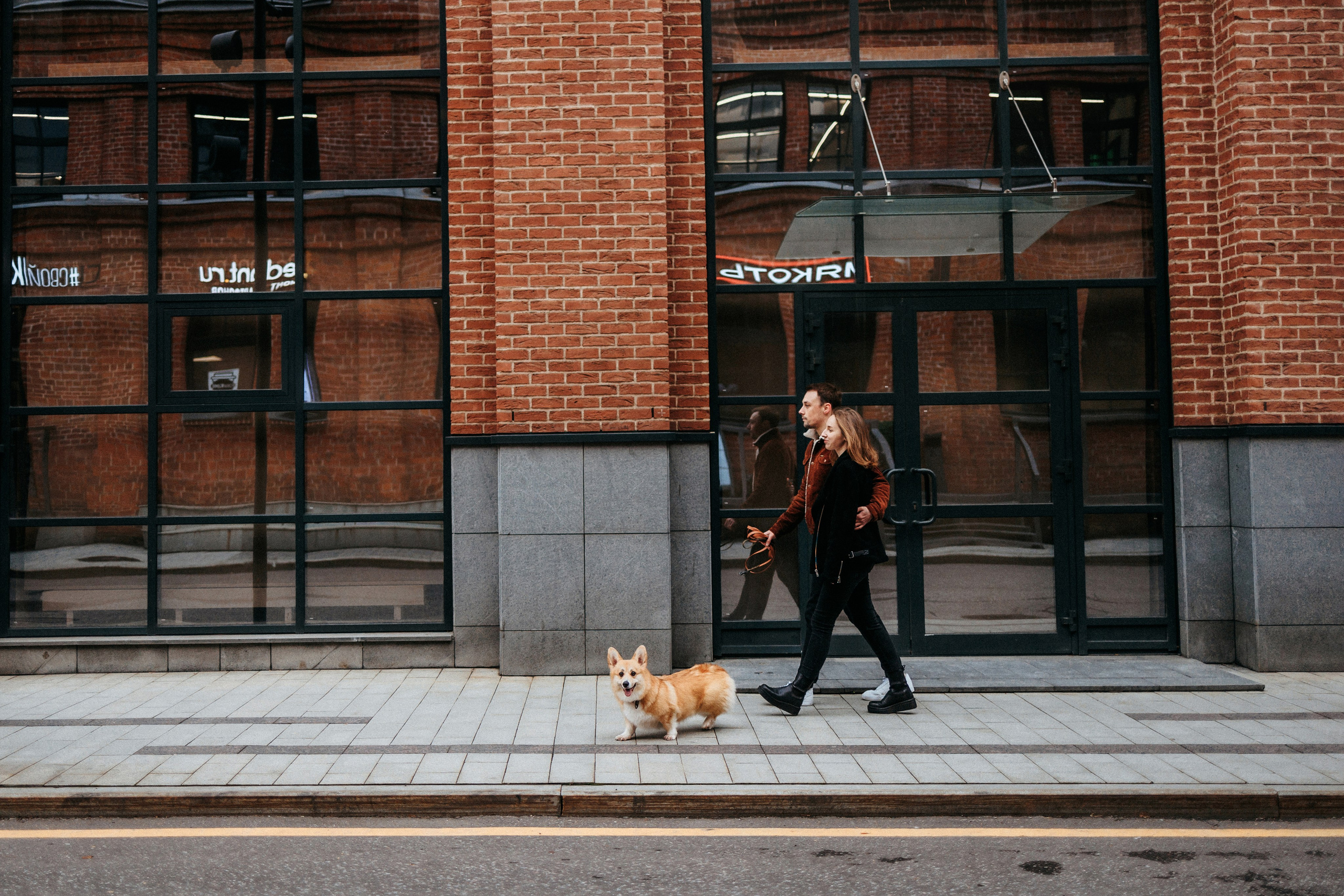 Вера, Саша и Муна. Фотограф-анималист Елена Радченко, Москва